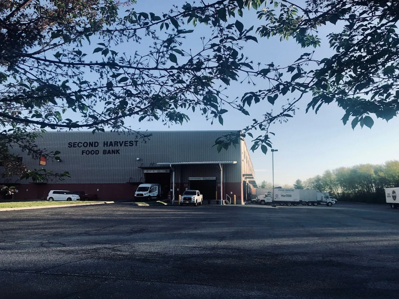 Volunteering with Second Harvest Food Bank