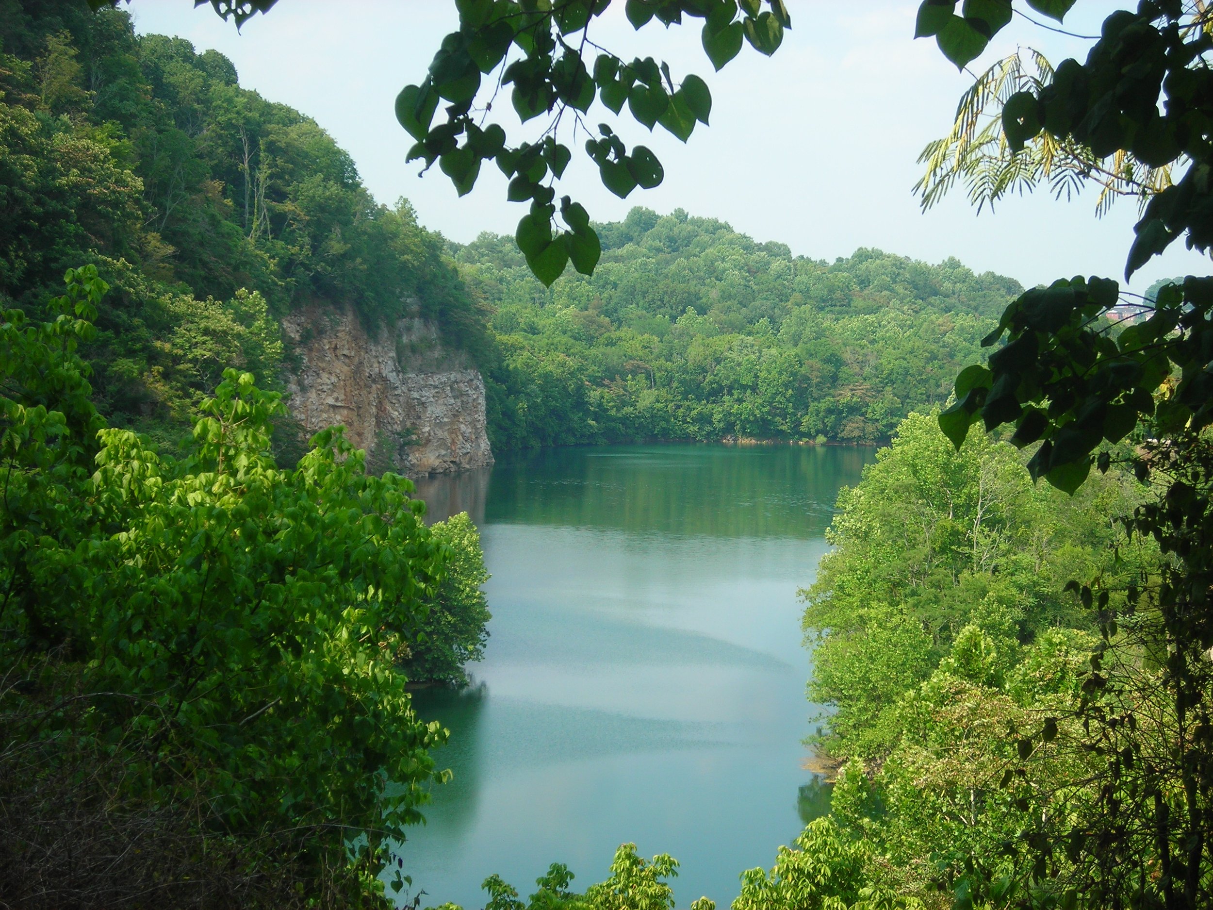 Volunteering with Ijams Nature Center