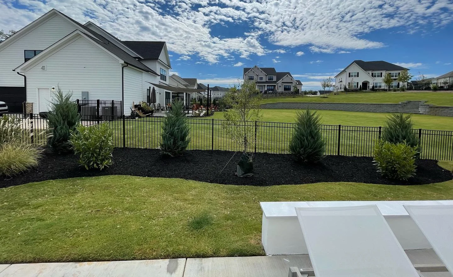 Landscape screening adds a little privacy and a whole lot of charm. 

#landscapescreening #landscapescreens #northcarolina #huntersville #backyarddesign #landscapedesign #trees