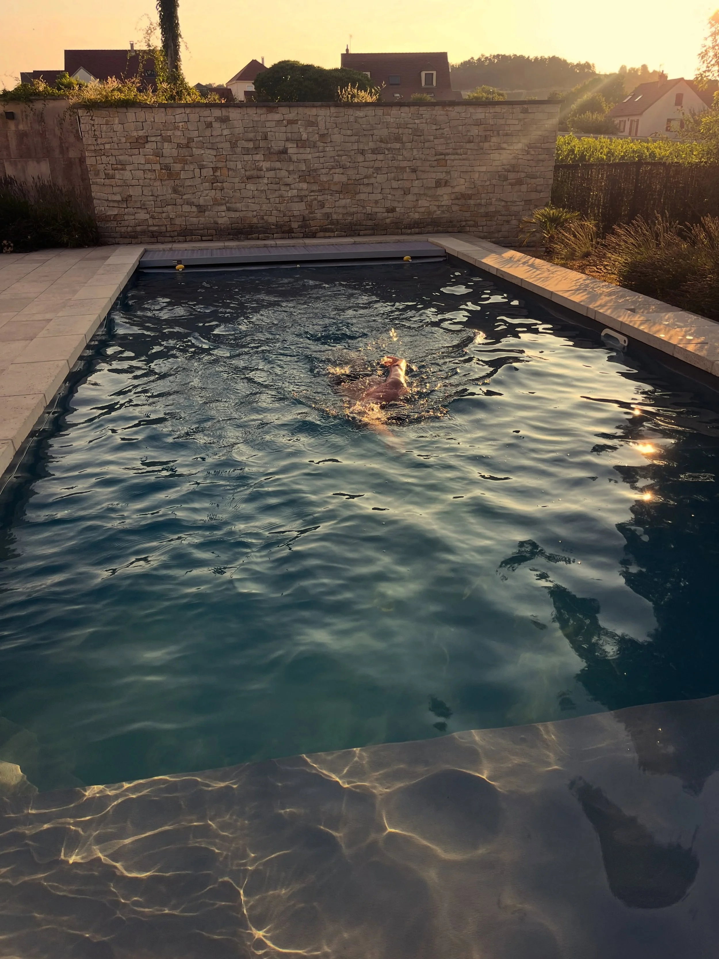 Bonjour Bourgogne. When I was little I used to spend hours after hours in the water fantasizing myself away on extraordinary adventures and writing them down. Not much has changed. Now time to practice that freestyle before we go explore the neighbor