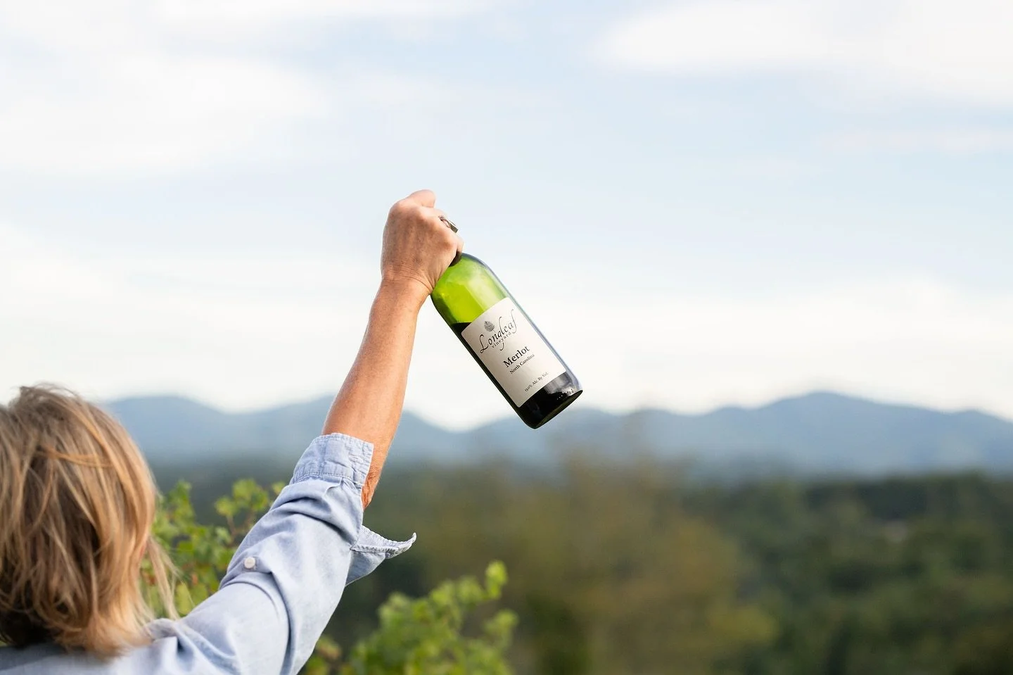 The Longleaf Experience &mdash; rooted in the vines, surrounded by the mountains, and poured with heart. 🍷

Fall 2026 is shaping up beautifully &mdash; a few golden-season dates still open for couples who want a day that feels effortless and unforge