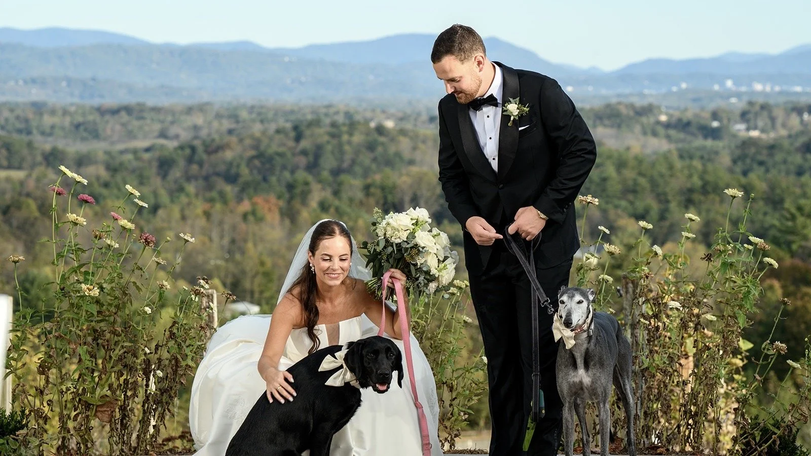 Bride and groom with their dogs during an intimate vineyard wedding at Longleaf Vineyard in the mountains of Western North Carolina.