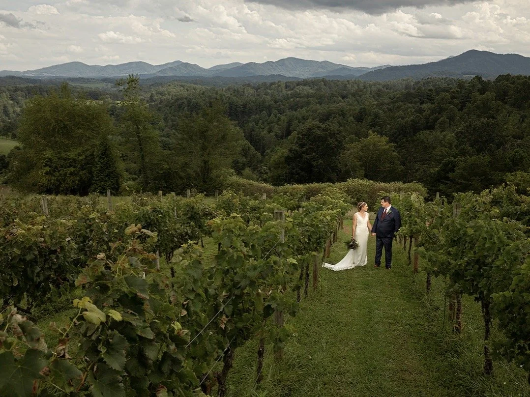 Couple walking through vineyard roes with Blue Ridge Mountain views near Asheville, North Carolina wedding venue