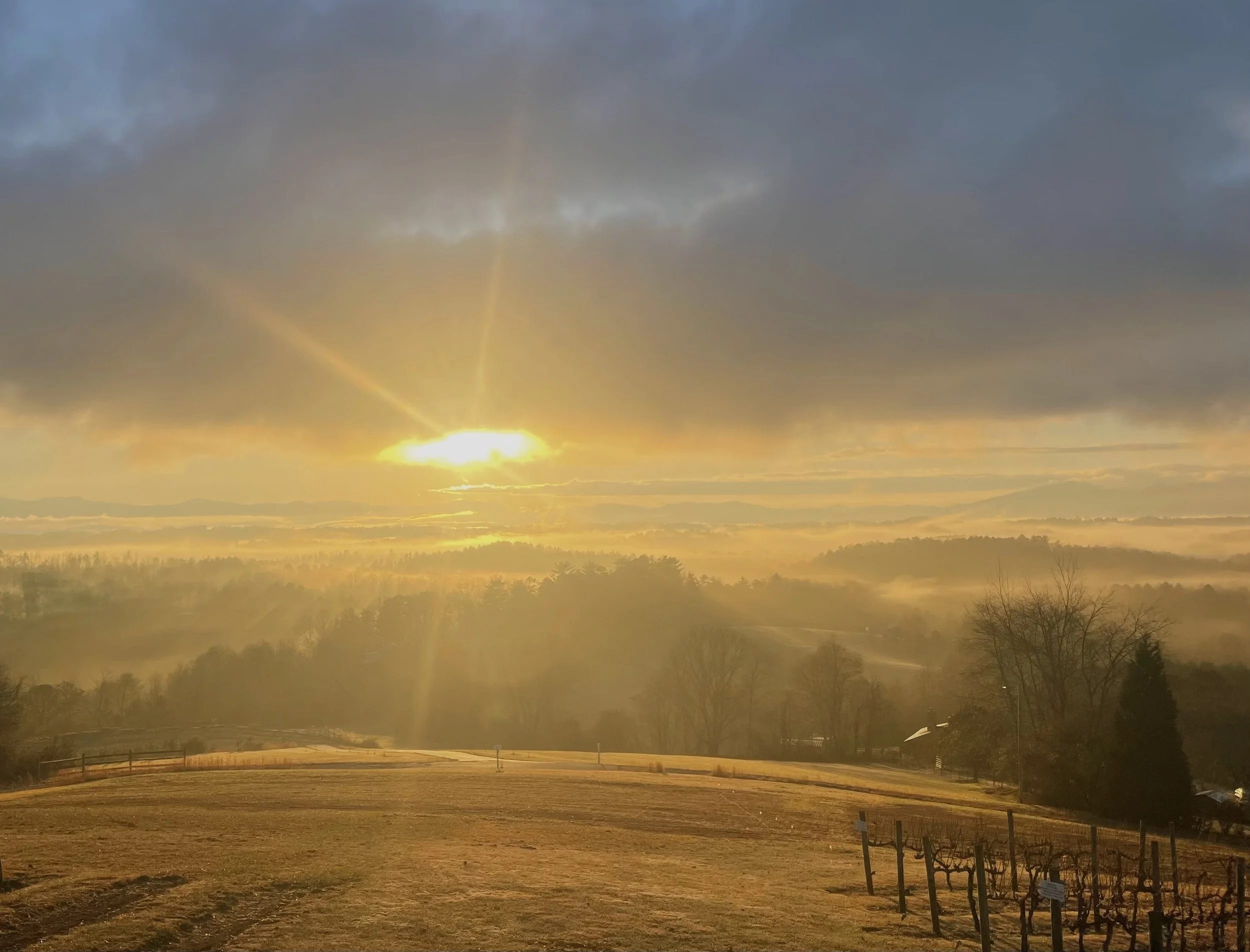 Sunrise over vineyard and rolling Blue Ridge Mountains near Asheville, North Carolina wedding venue