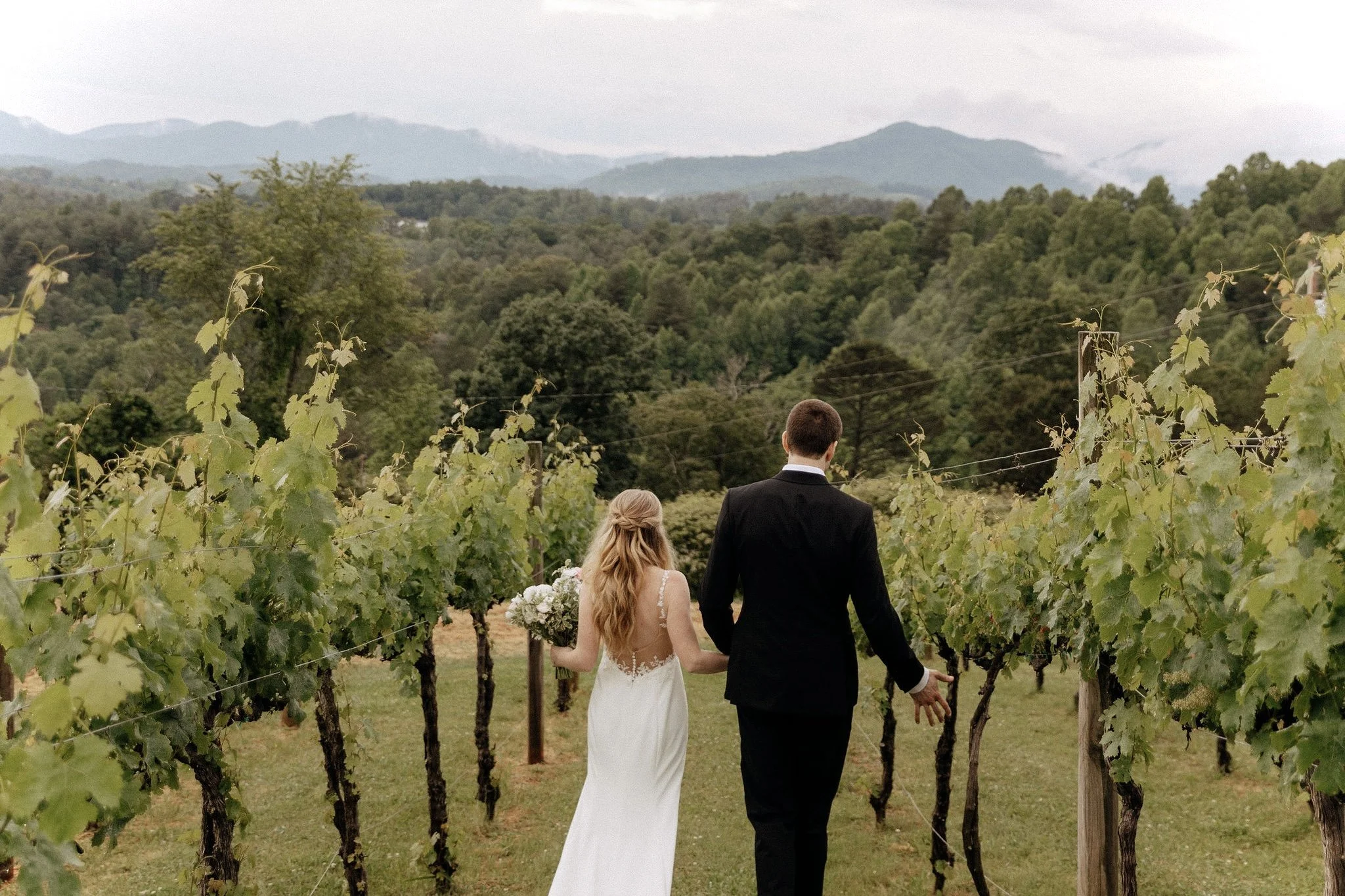 Vineyard Elopement with Blue Ridge Mountain views in Western North Carolina