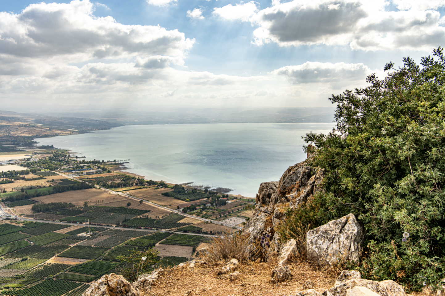 Horton Israel Registration