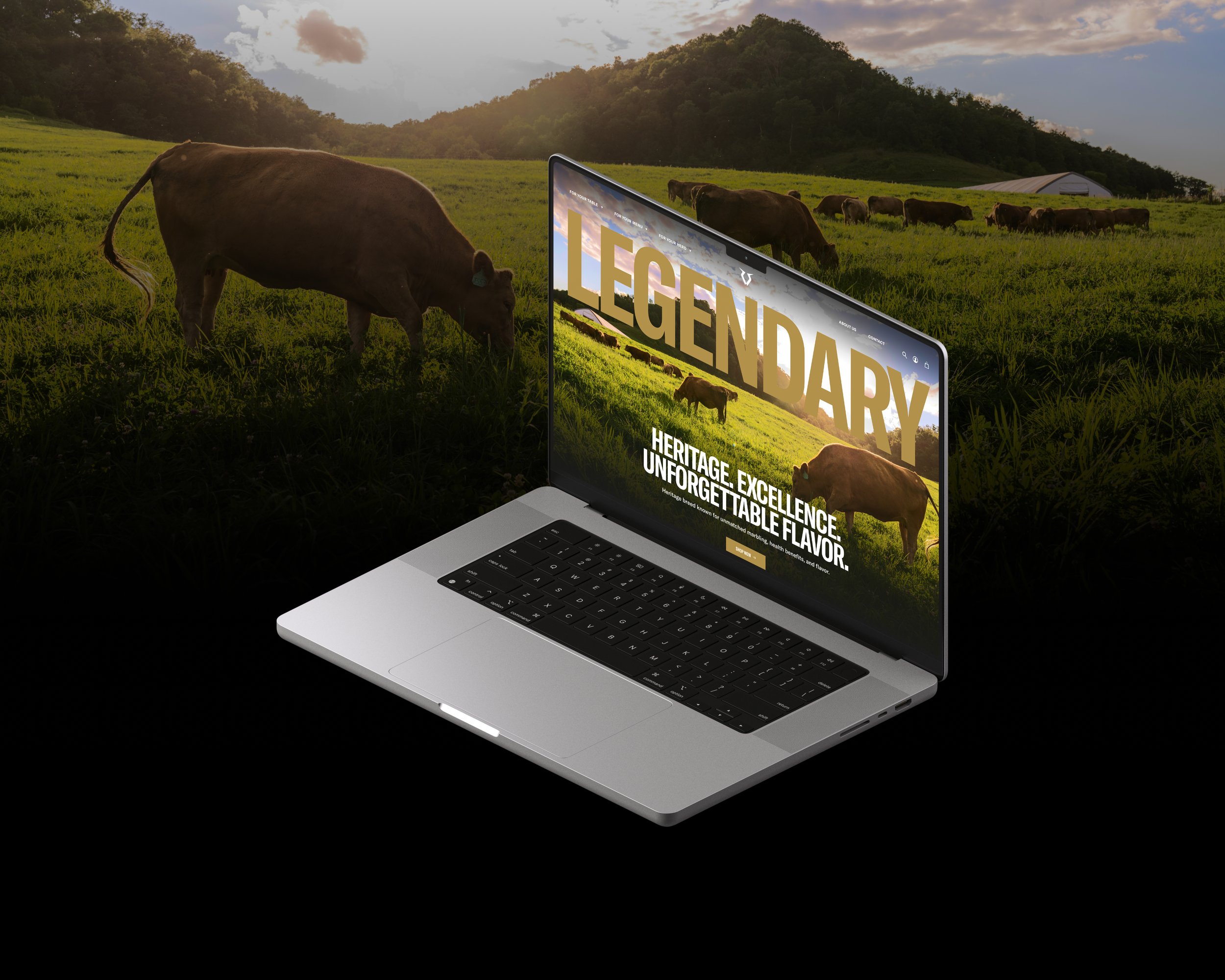 Ecommerce Design for Ranches &amp; Meat Brands