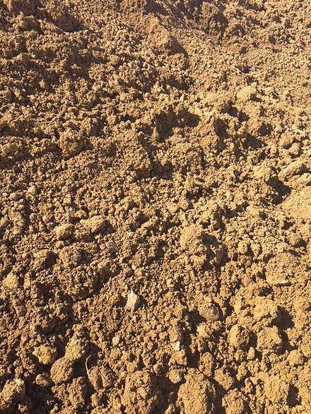 Fill Dirt.jpg