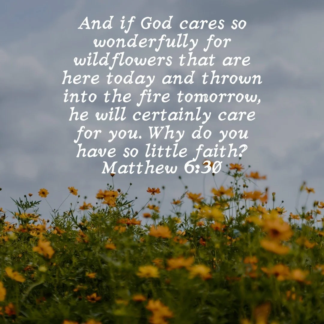 Let this be an encouragement for you this week. If God cares for the wildflowers, he will surely care for you. God sees you. God hears you. Surrender all worries to him, and he will take care of you. #verseoftheday #encouragement