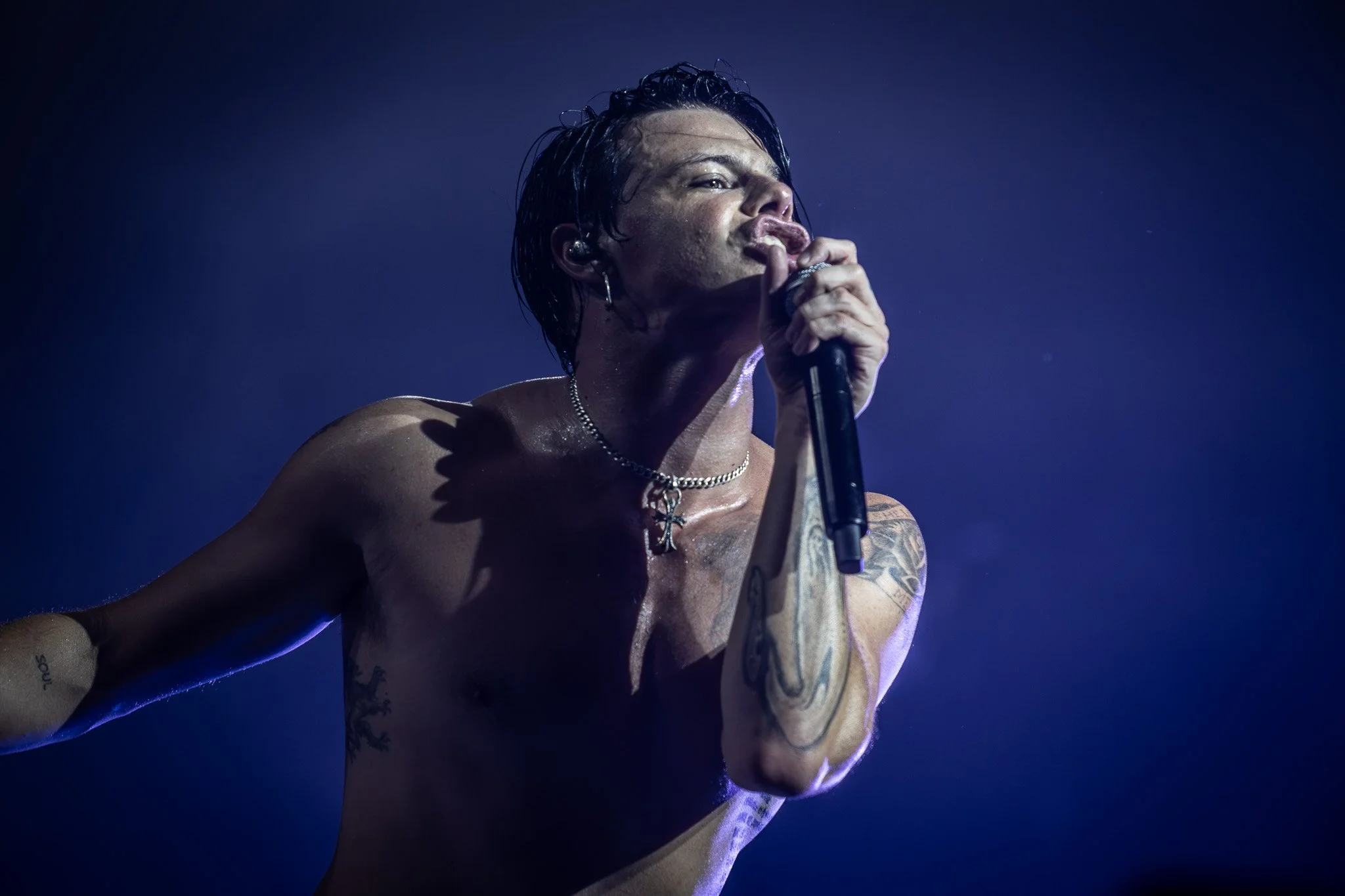 2V0A5230-Enhanced-NR.jpg