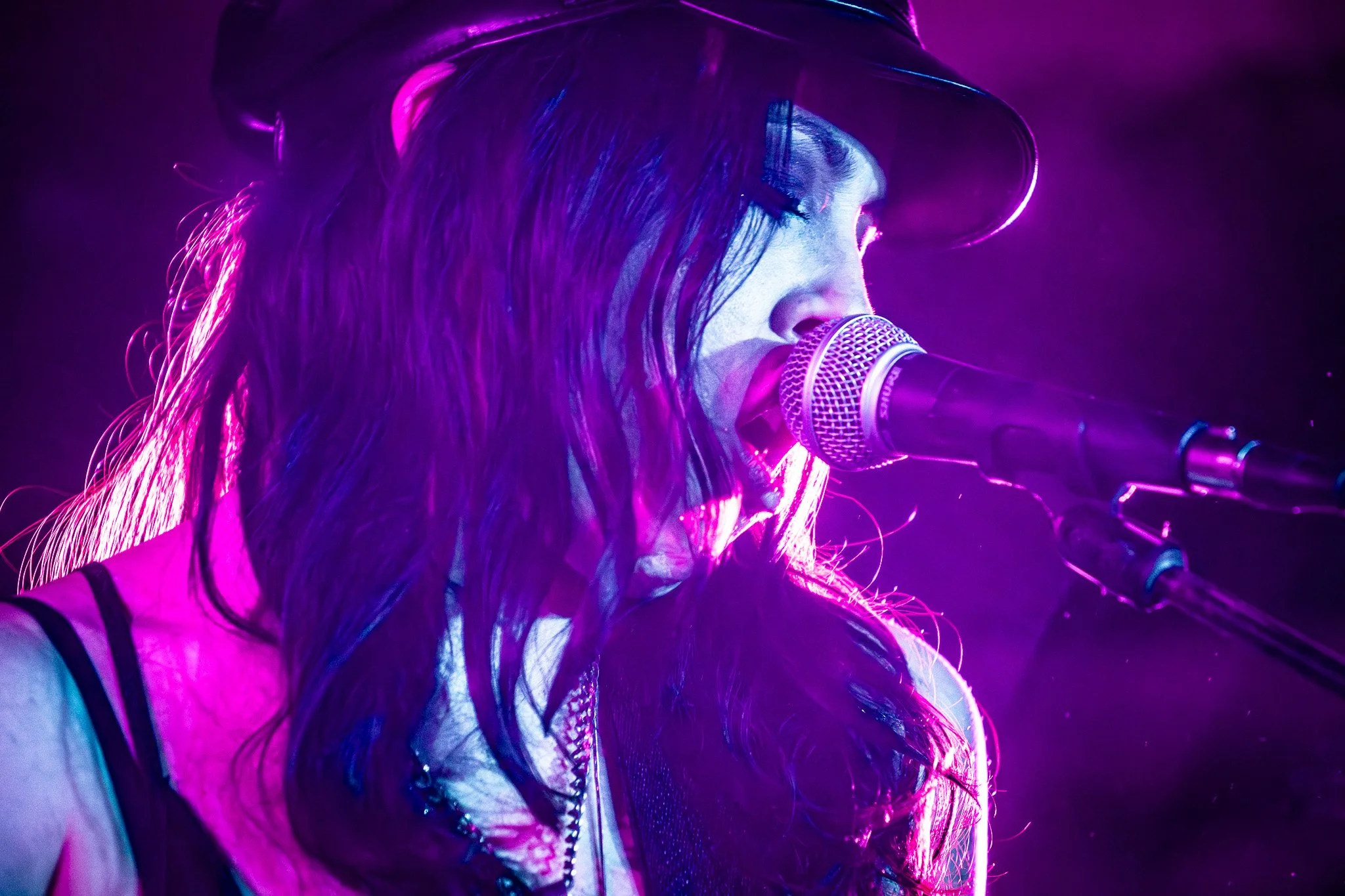 Violets at Cobra Lounge 6.12.26