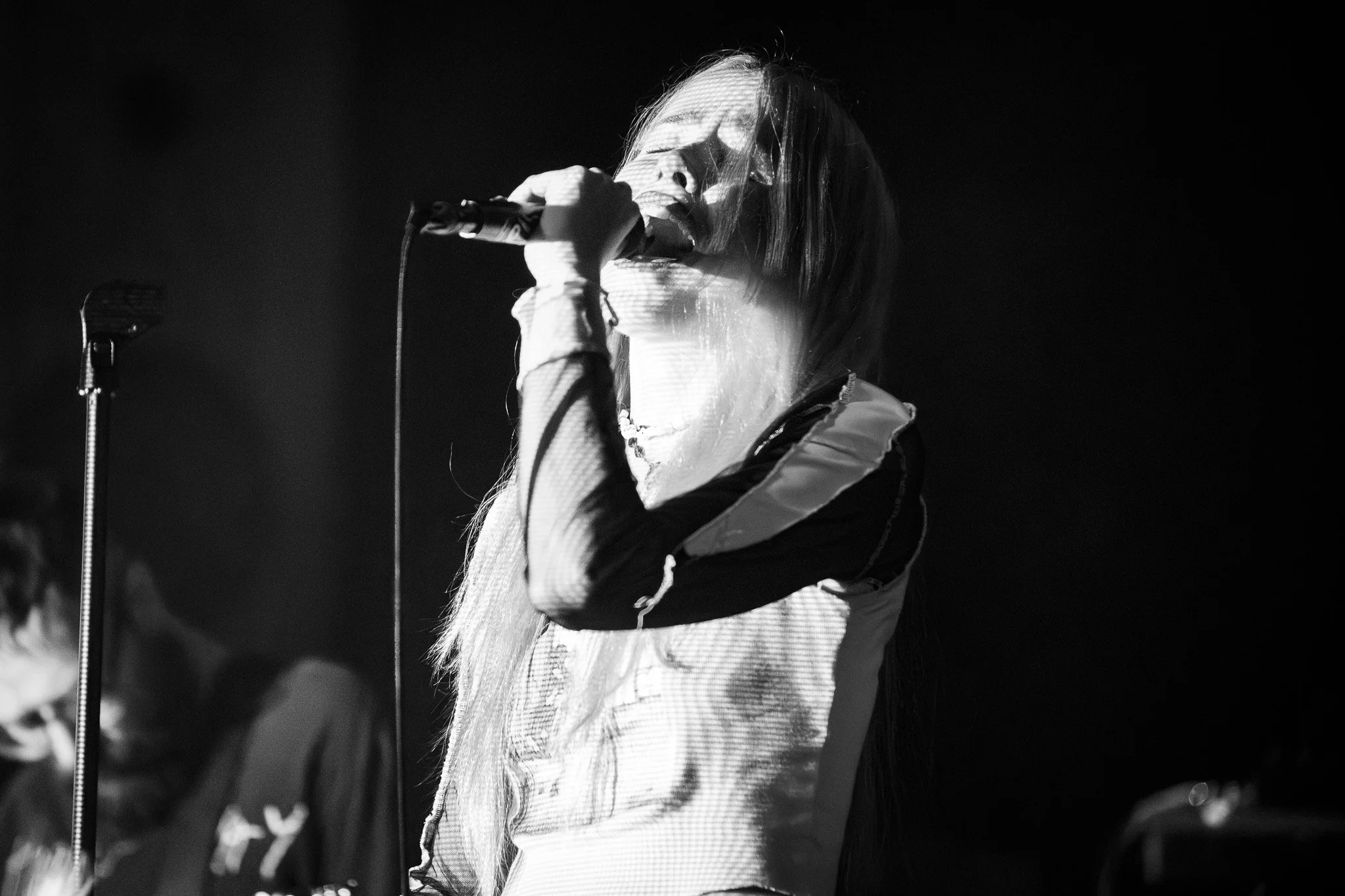 2V0A1295-Enhanced-NR.jpg