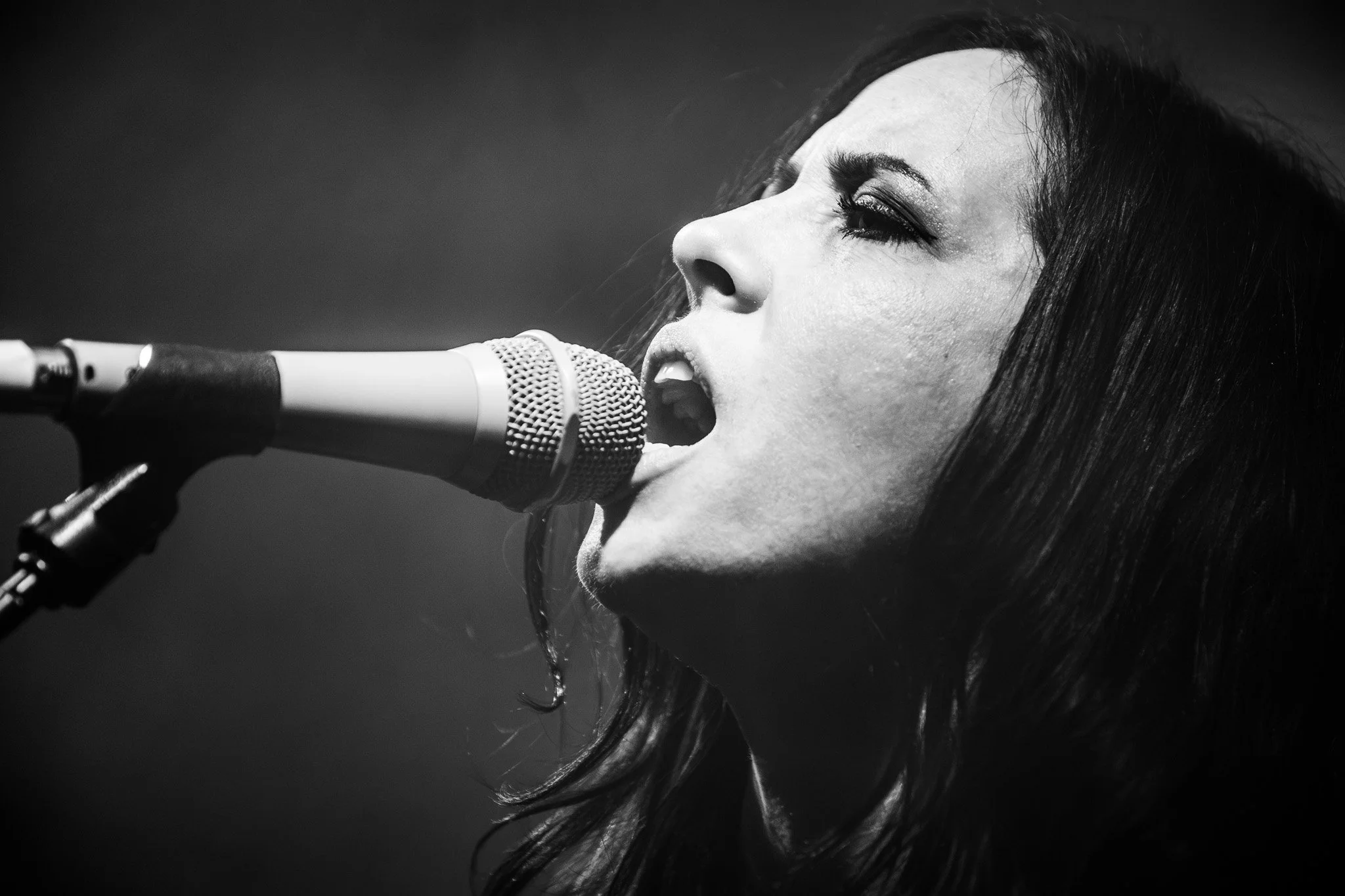 2V0A8553-Enhanced-NR.jpg