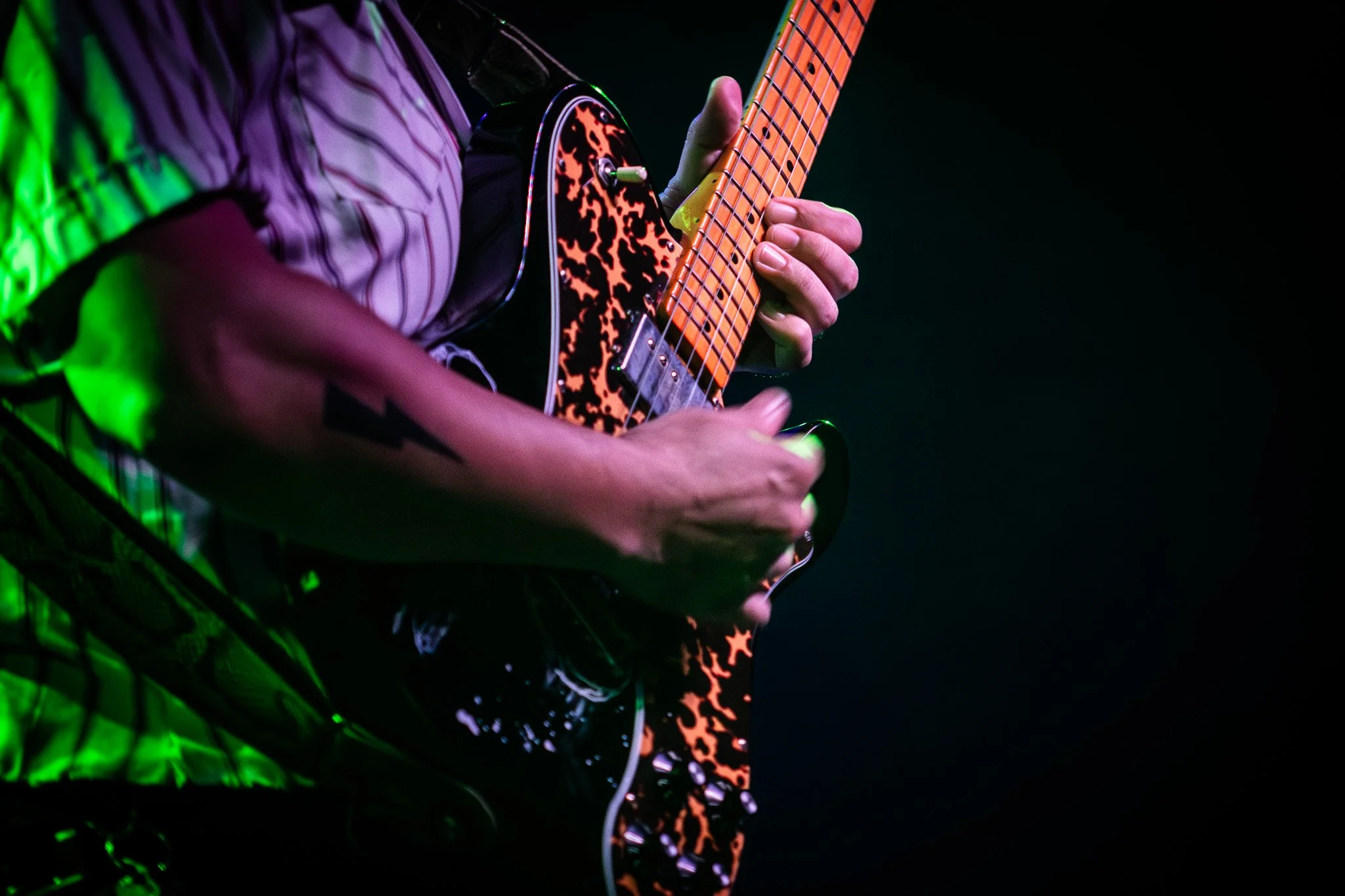 2V0A3256-Enhanced-NR.jpg