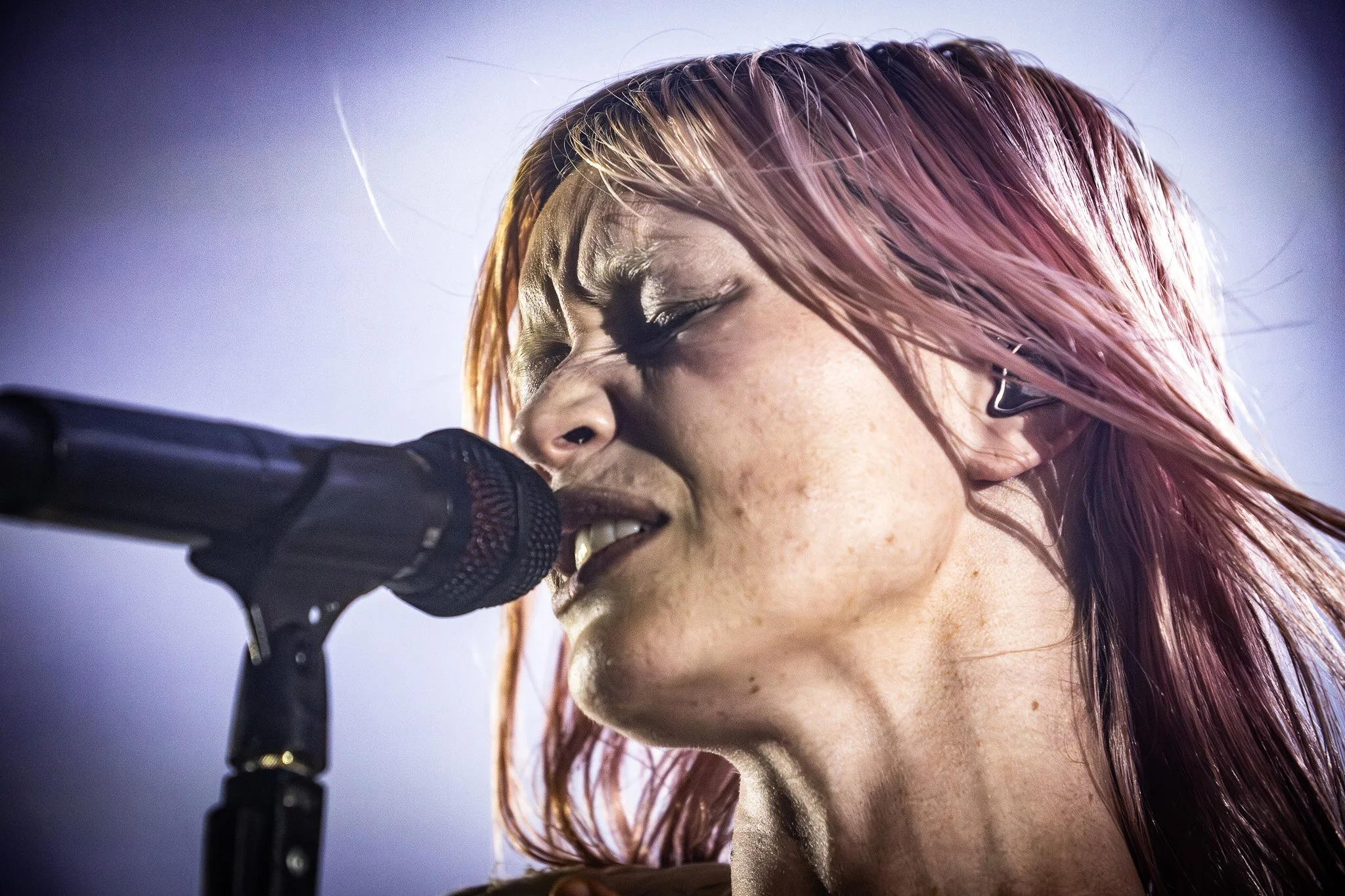 2V0A4924-Enhanced-NR.jpg
