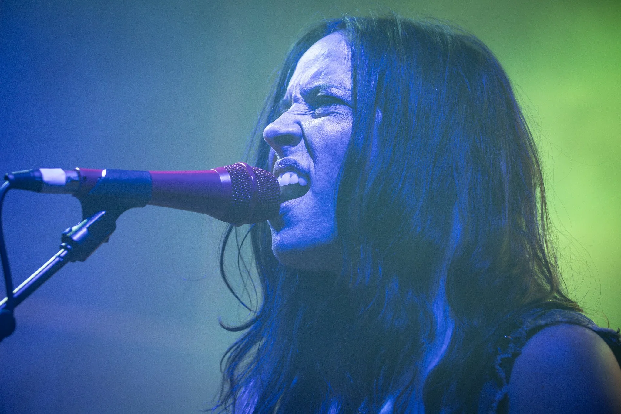 2V0A8556-Enhanced-NR.jpg