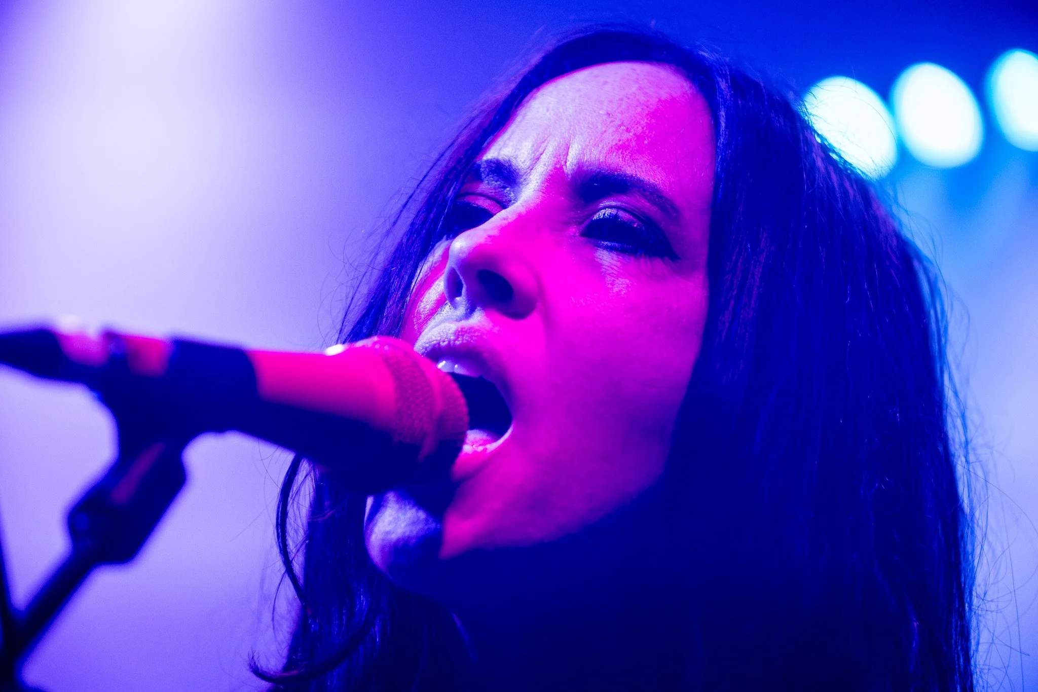 2V0A8610-Enhanced-NR.jpg