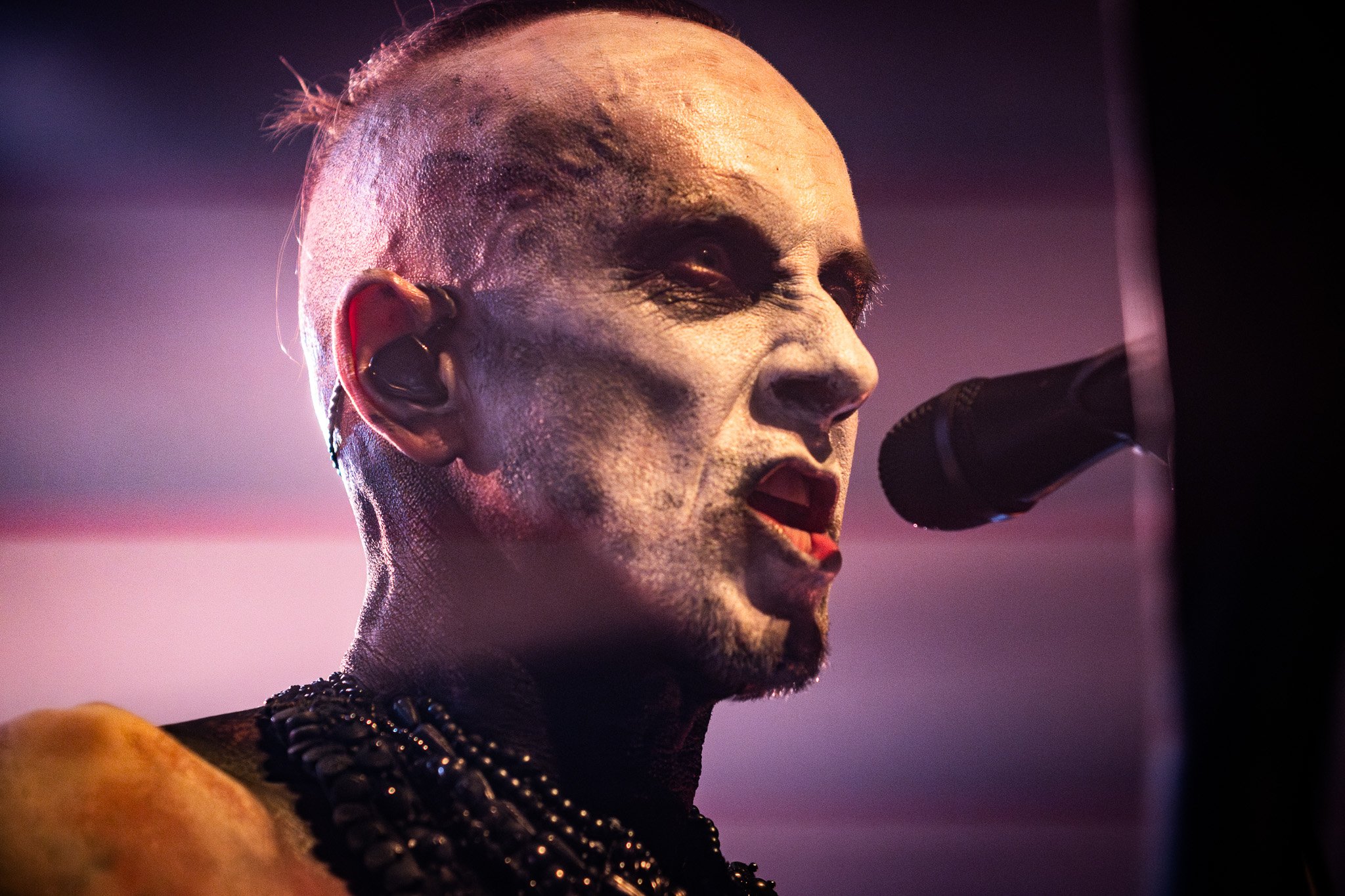 2V0A6291-Enhanced-NR.jpg