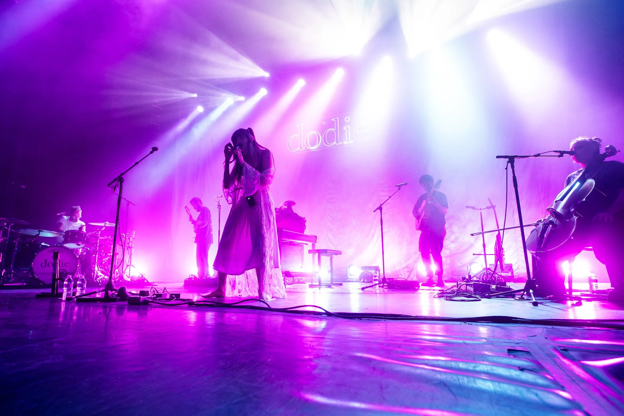 2V0A4841-Enhanced-NR.jpg