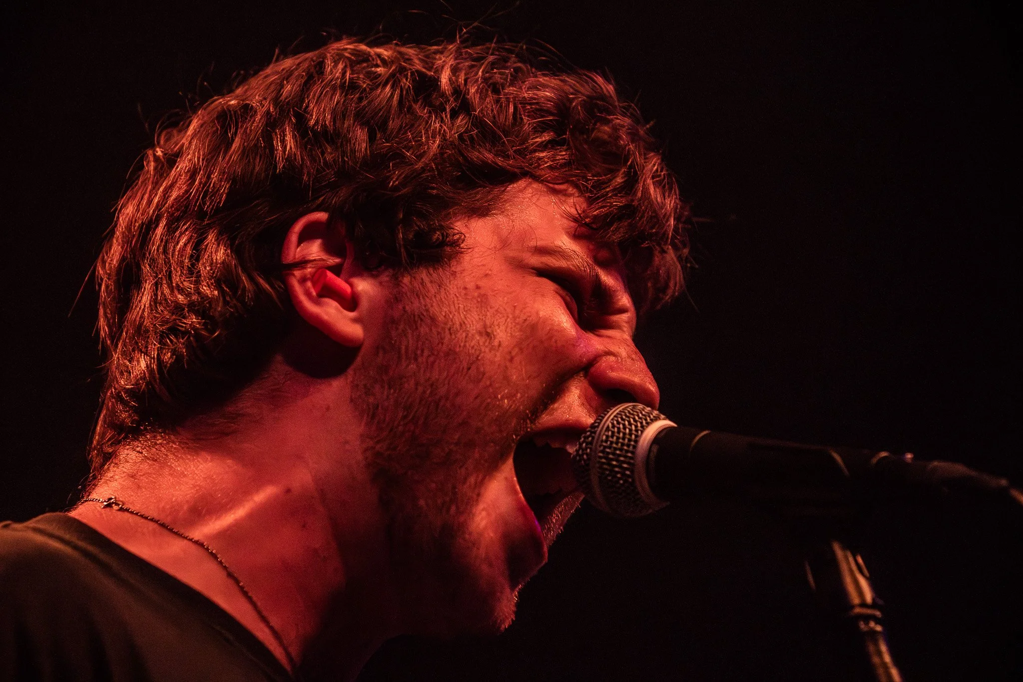 2V0A4215-Enhanced-NR.jpg