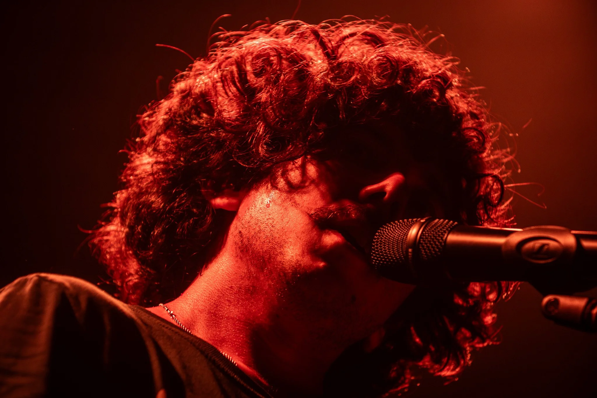 2V0A9751-Enhanced-NR.jpg