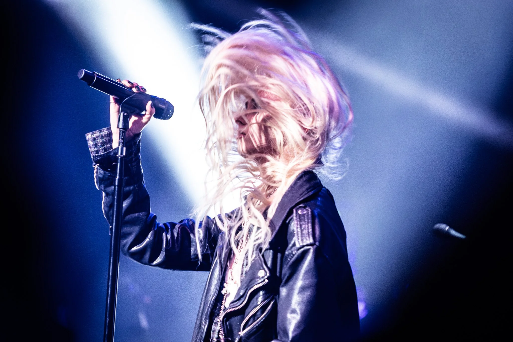 2V0A4384-Enhanced-NR.jpg
