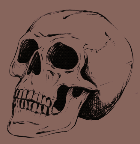 Skull Crawl