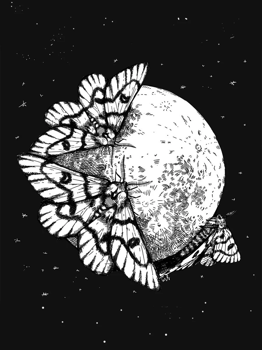Moth Moon