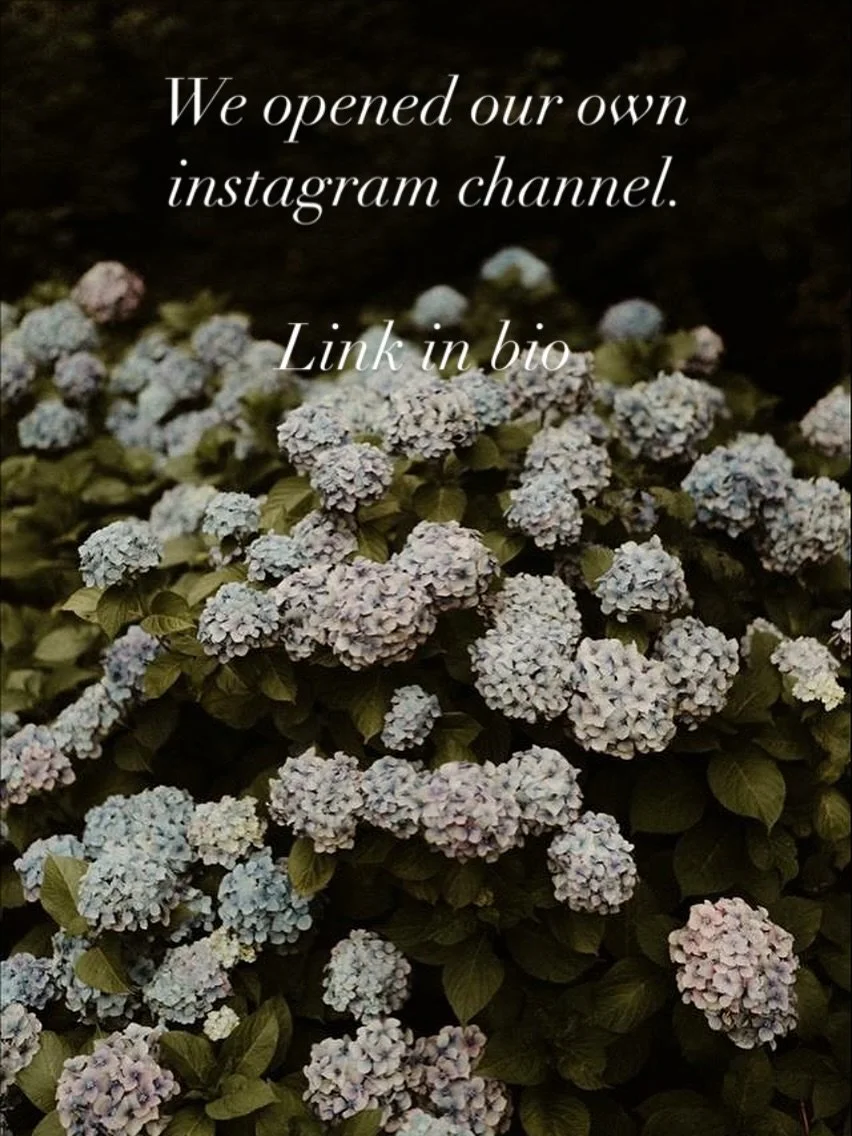 We would like to invite you to share our journey together. By offering you a safe space where we share knowledge, inspiration, tips for your business, and much more. All of this content simply available on instagram. Join our channel today.