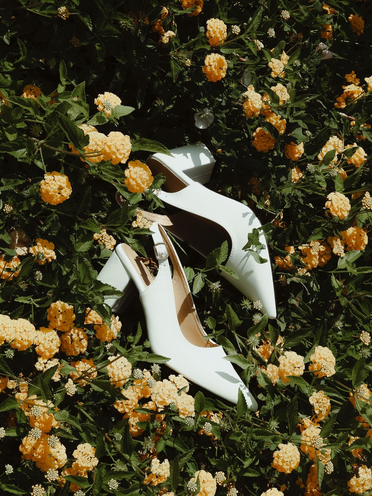 Champs de fleur #flower #accessories #weddingshoes
