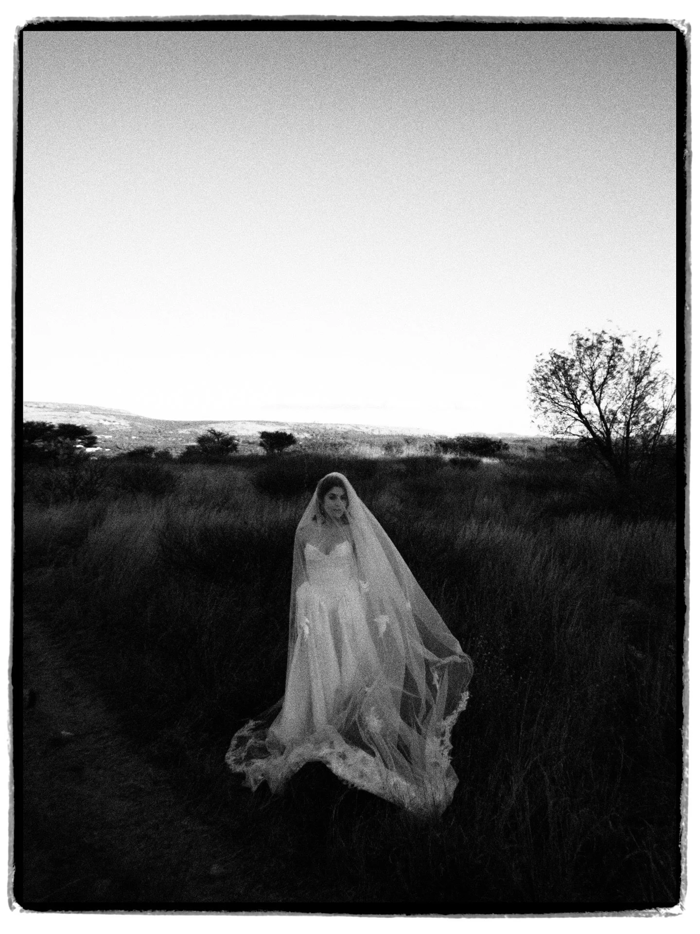 Frames #sanmiguel #sanmiguelweddings #sanmiguelweddingphotographer