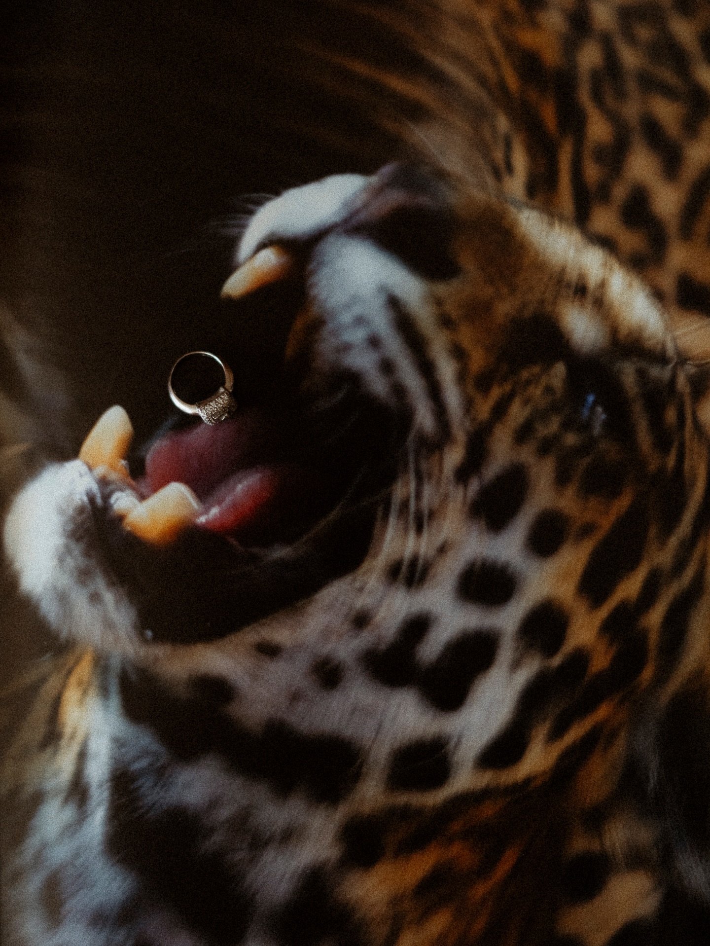 Ring #mexico #mexicowedding #mexicoweddingphotographer