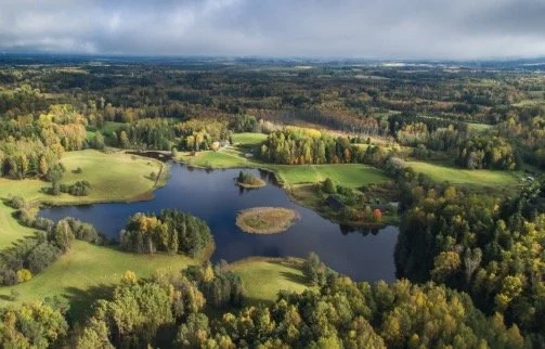 Aerial view of a rural landscape with a lake, surrounding trees, and open fields under a cloudy sky.