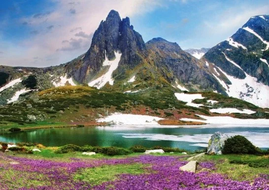 Mountain landscape with a lake, snow patches, and purple flowers in the foreground.