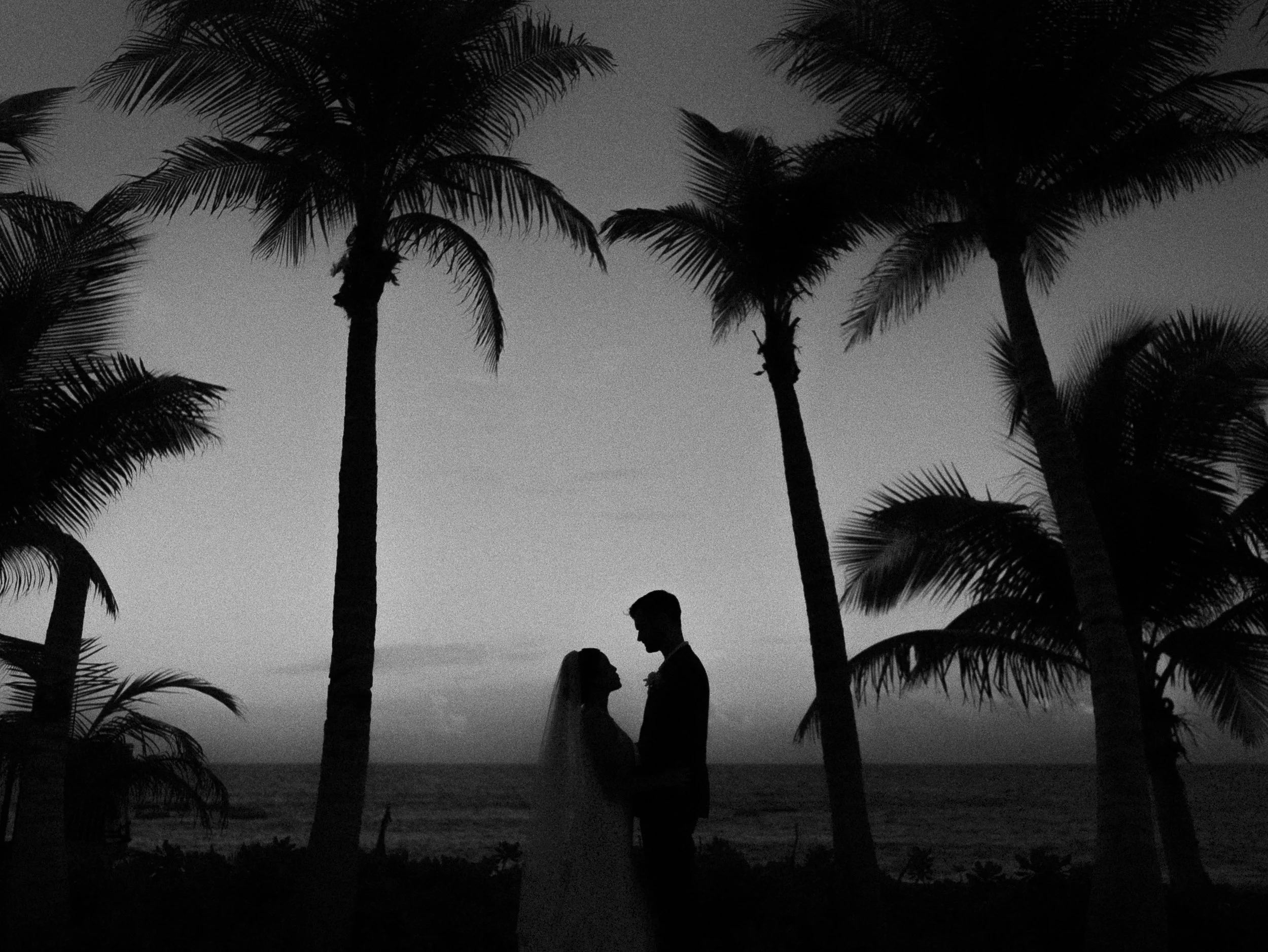 Silhouette of a bride and groom standing on a beach at sunset, surrounded by palm trees.