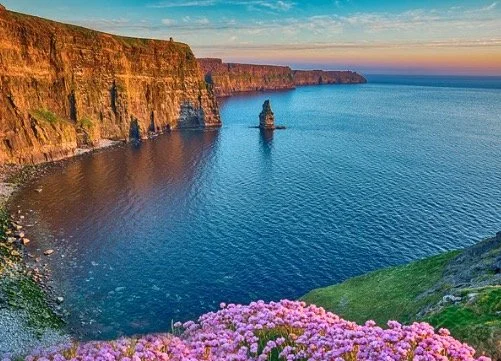Cliffs of Moher with ocean view and purple flowers at sunset