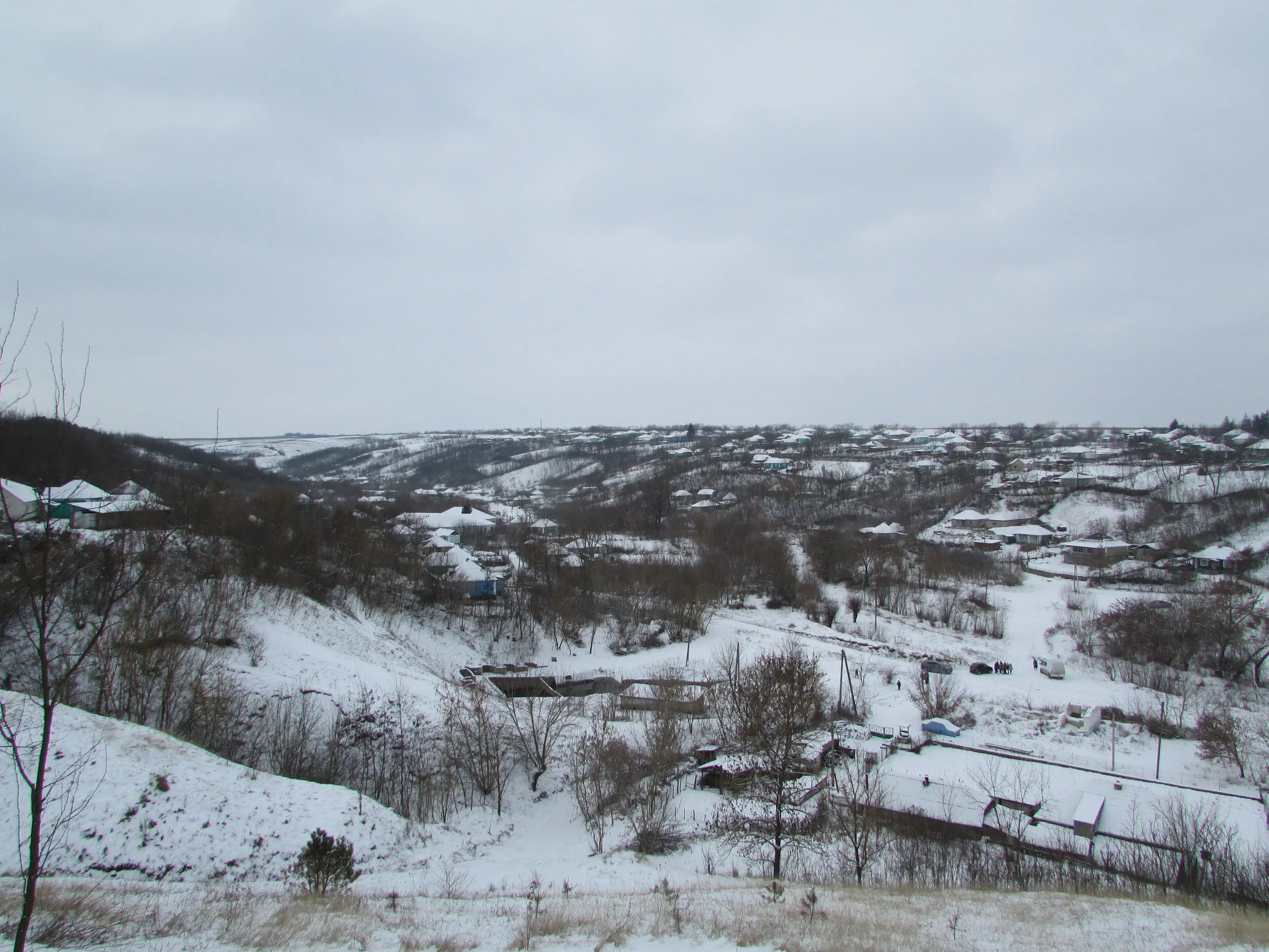   Winter landscape  