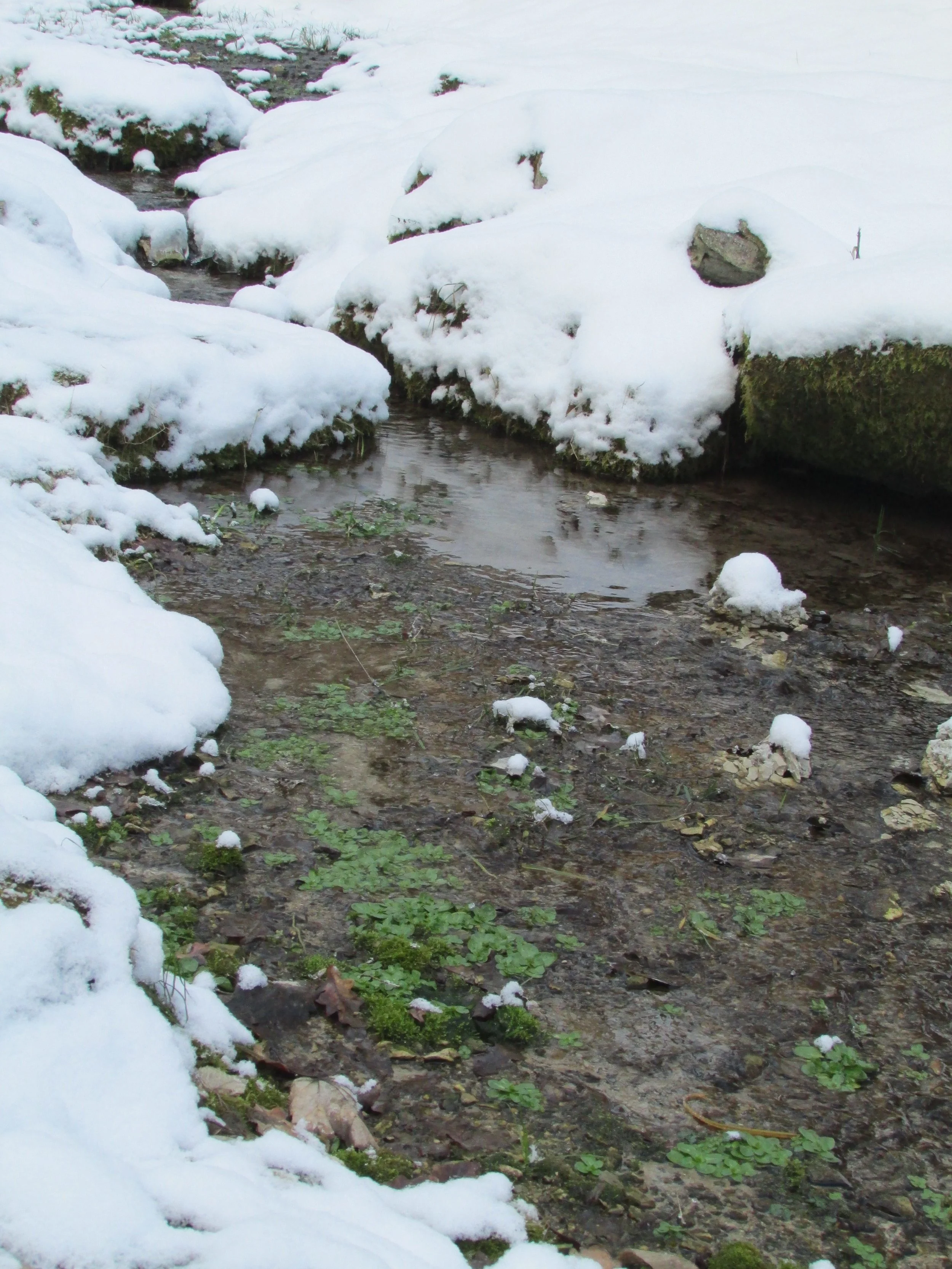   Holy spring near Svyato Uspyensky monastery  
