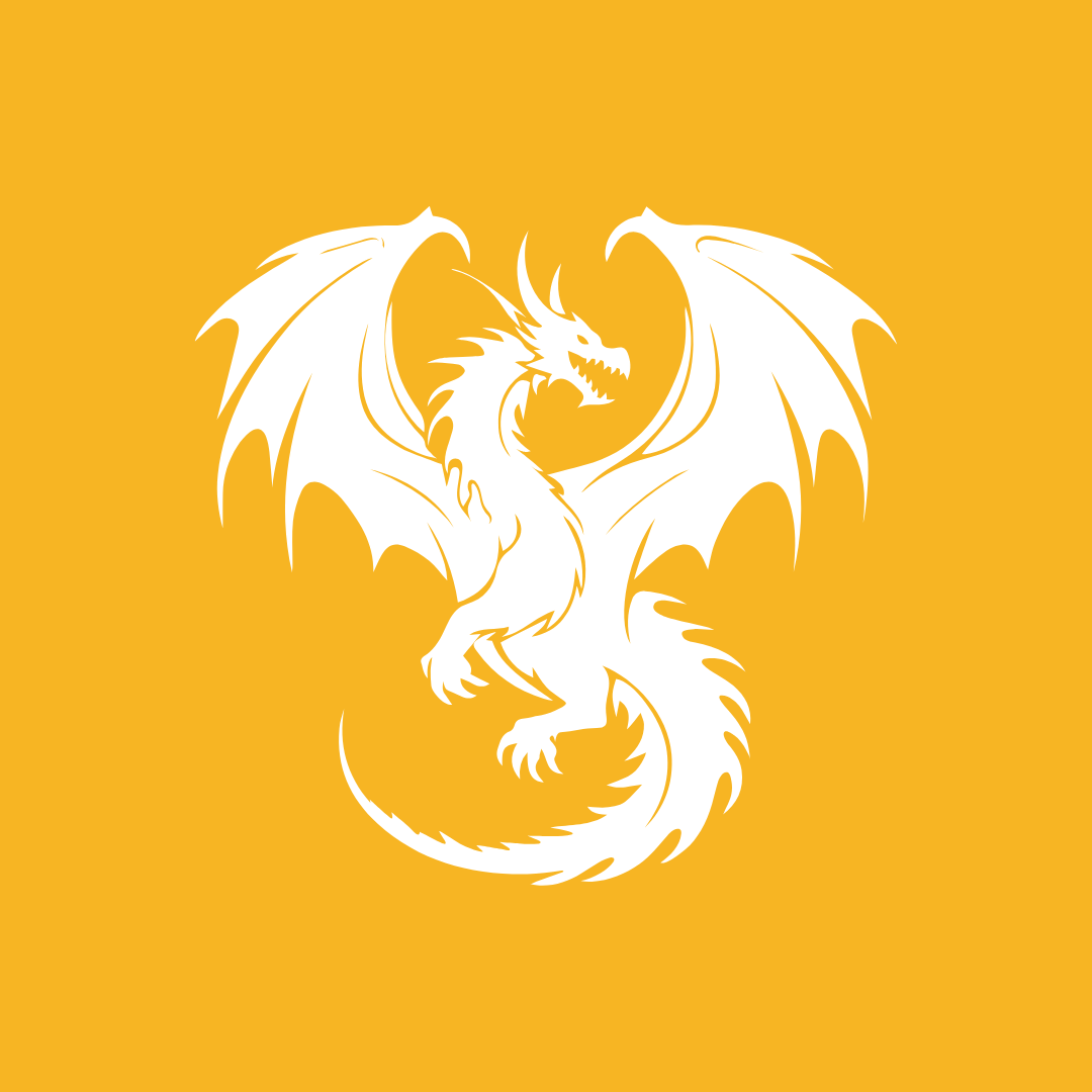 Dungeons and Dragons Live