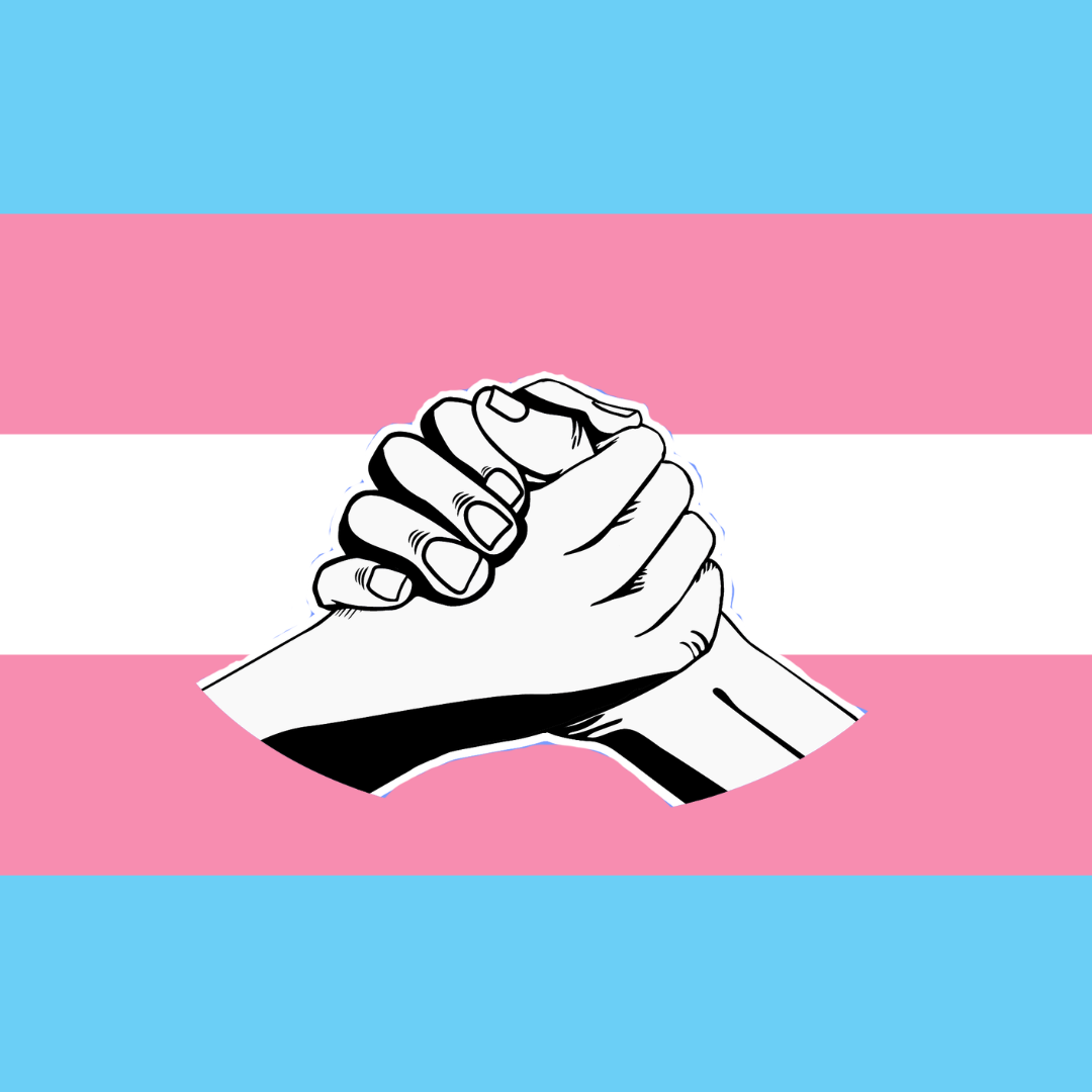 Trans Day of Snack