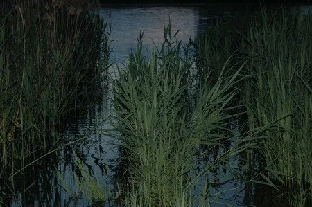 751_kab04_rundherum_086_450x299.jpg