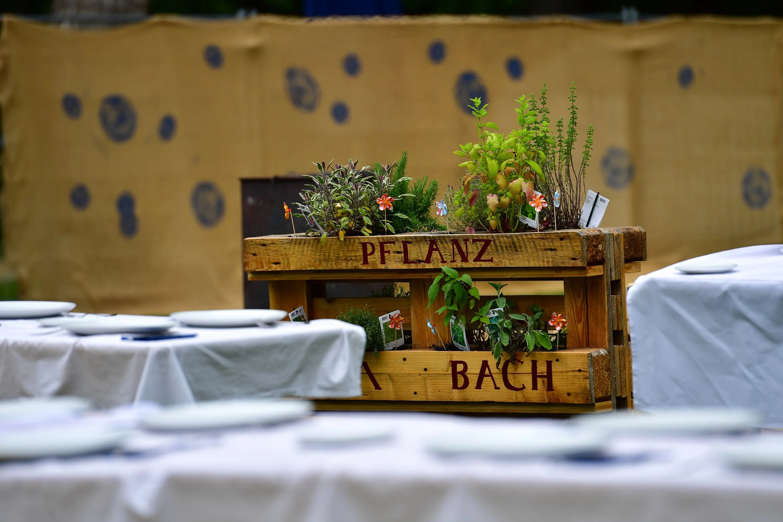 260612_pascha_2442.jpg