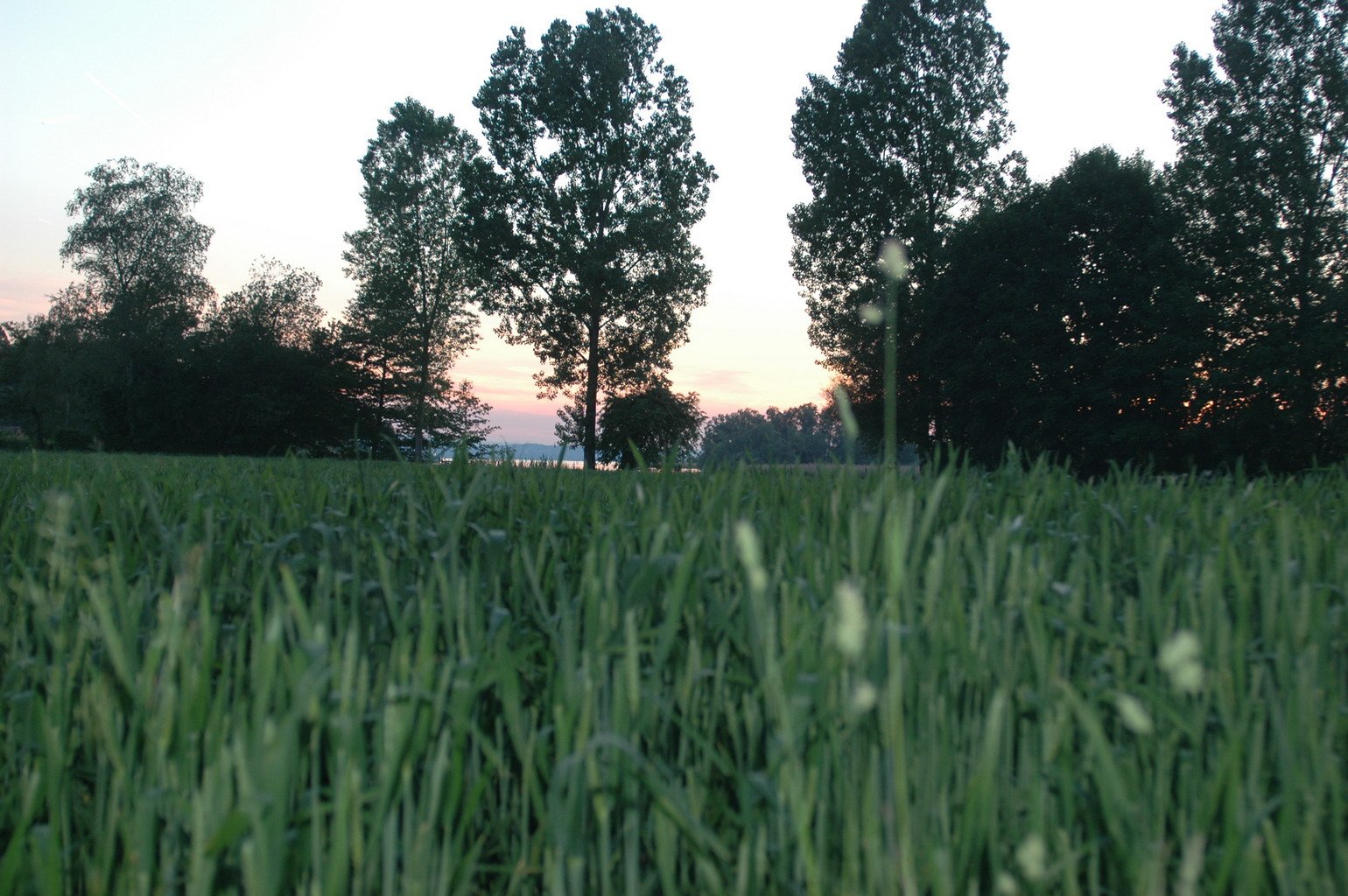 1684_DSC_8487_1540x1024.jpg
