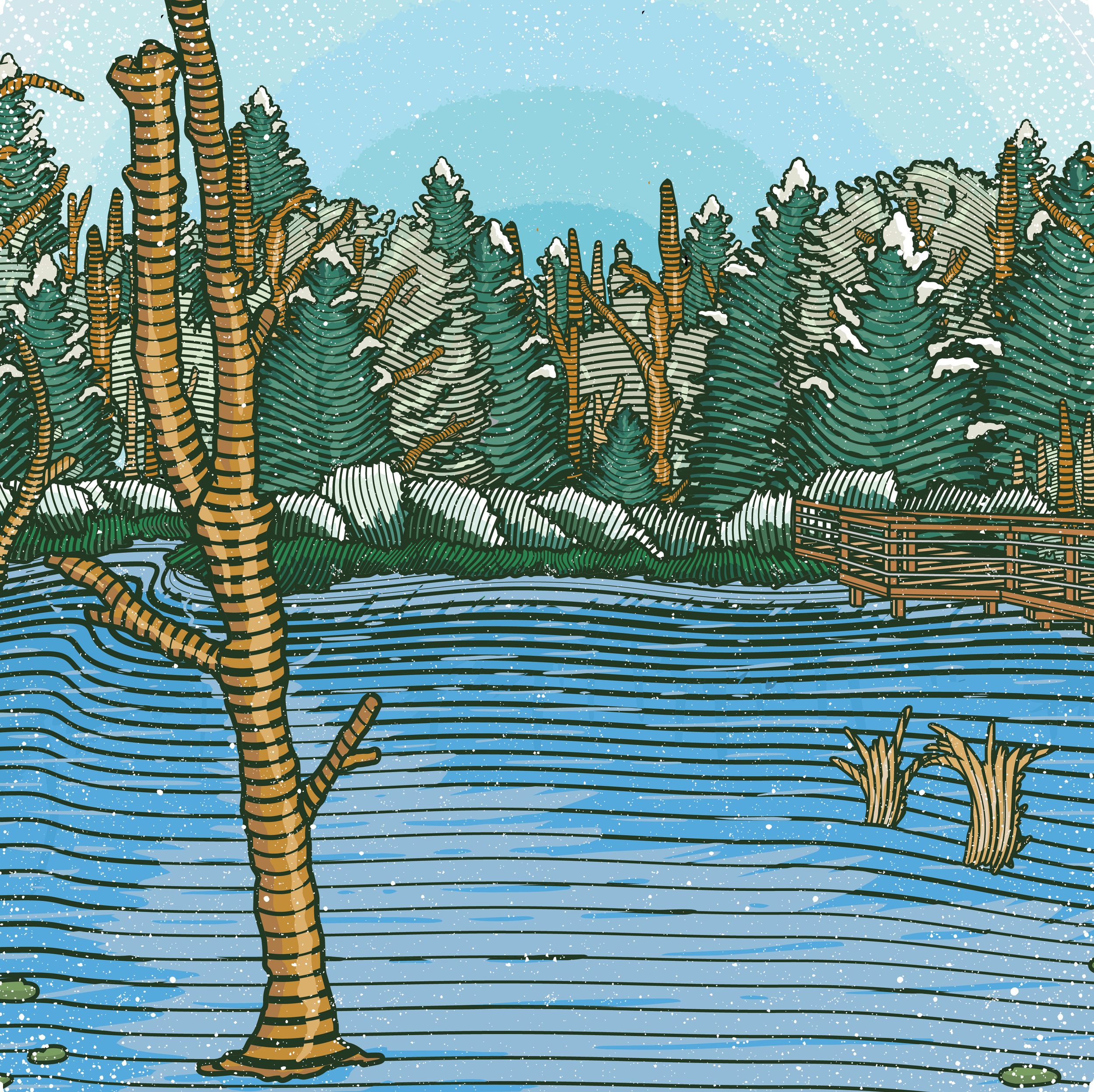 15.2_BeaverMarsh.png