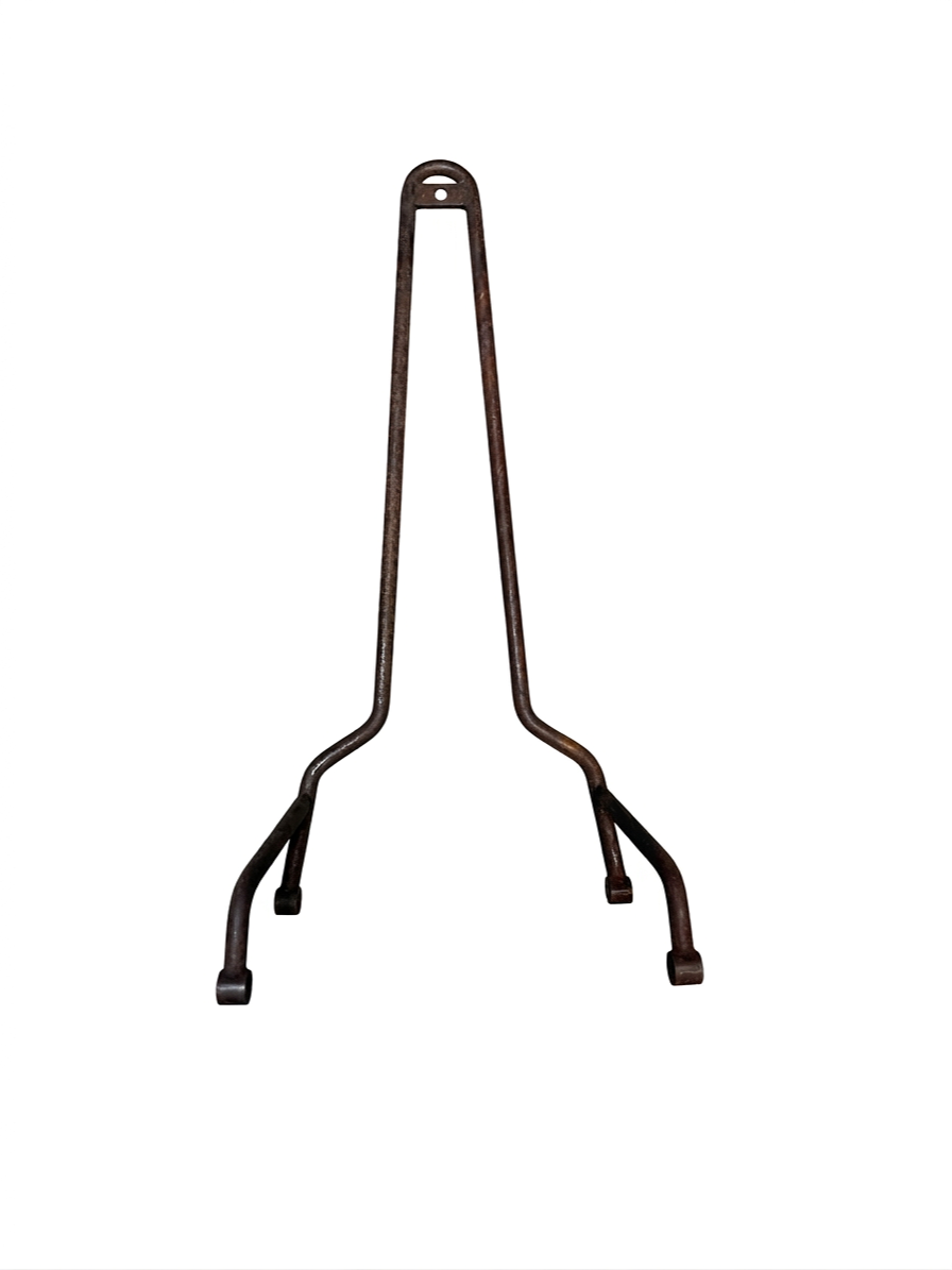 EVO SPORTSTER SISSY BAR