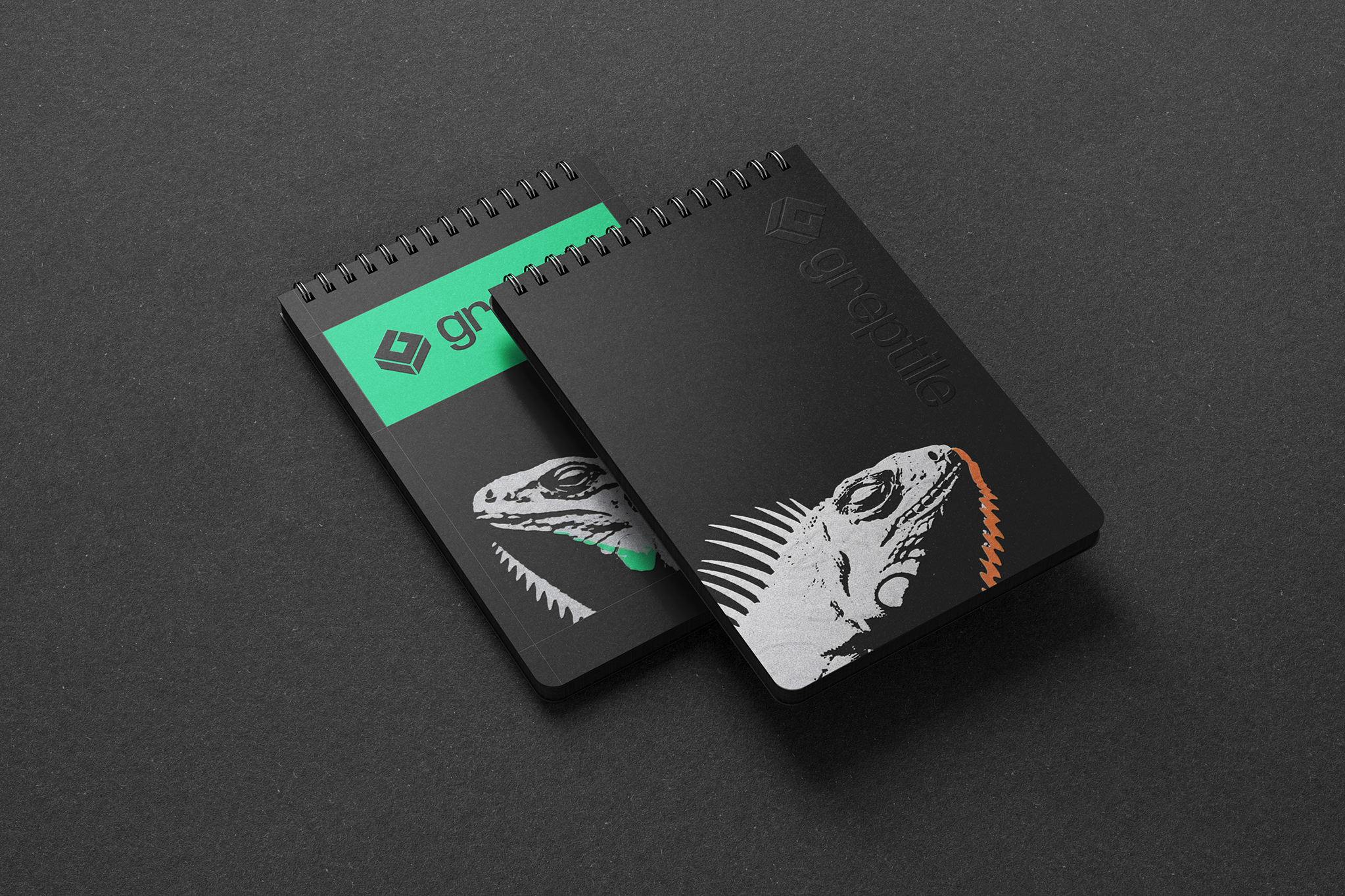 notebook 1.png