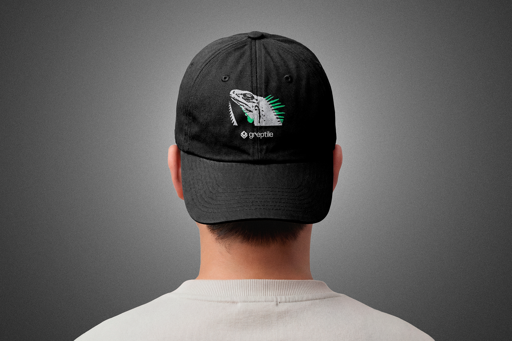 Hat 1.png