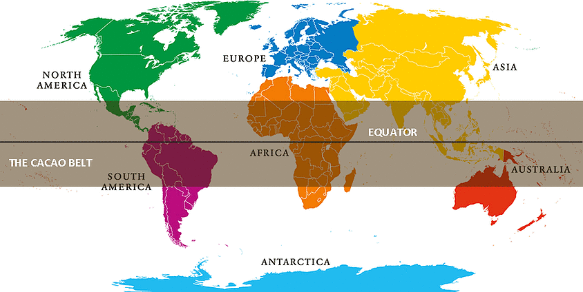 World map with continents and a highlighted belt 20 degrees north and south of the equator showing where cacao grows.