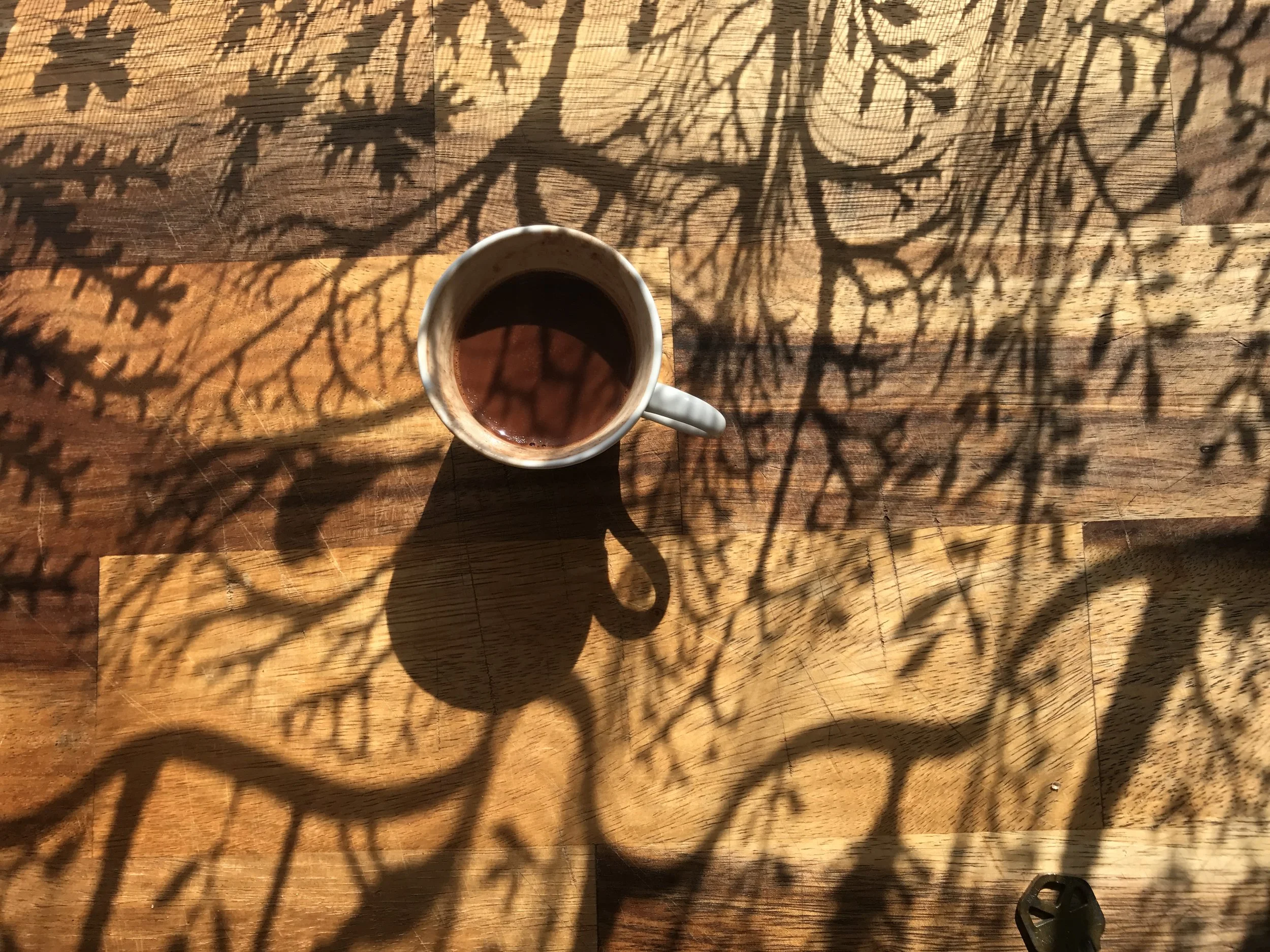 Top view of a mug filled with a dark hot beverage, placed on a wooden surface with intricate shadow patterns from a nearby plant.