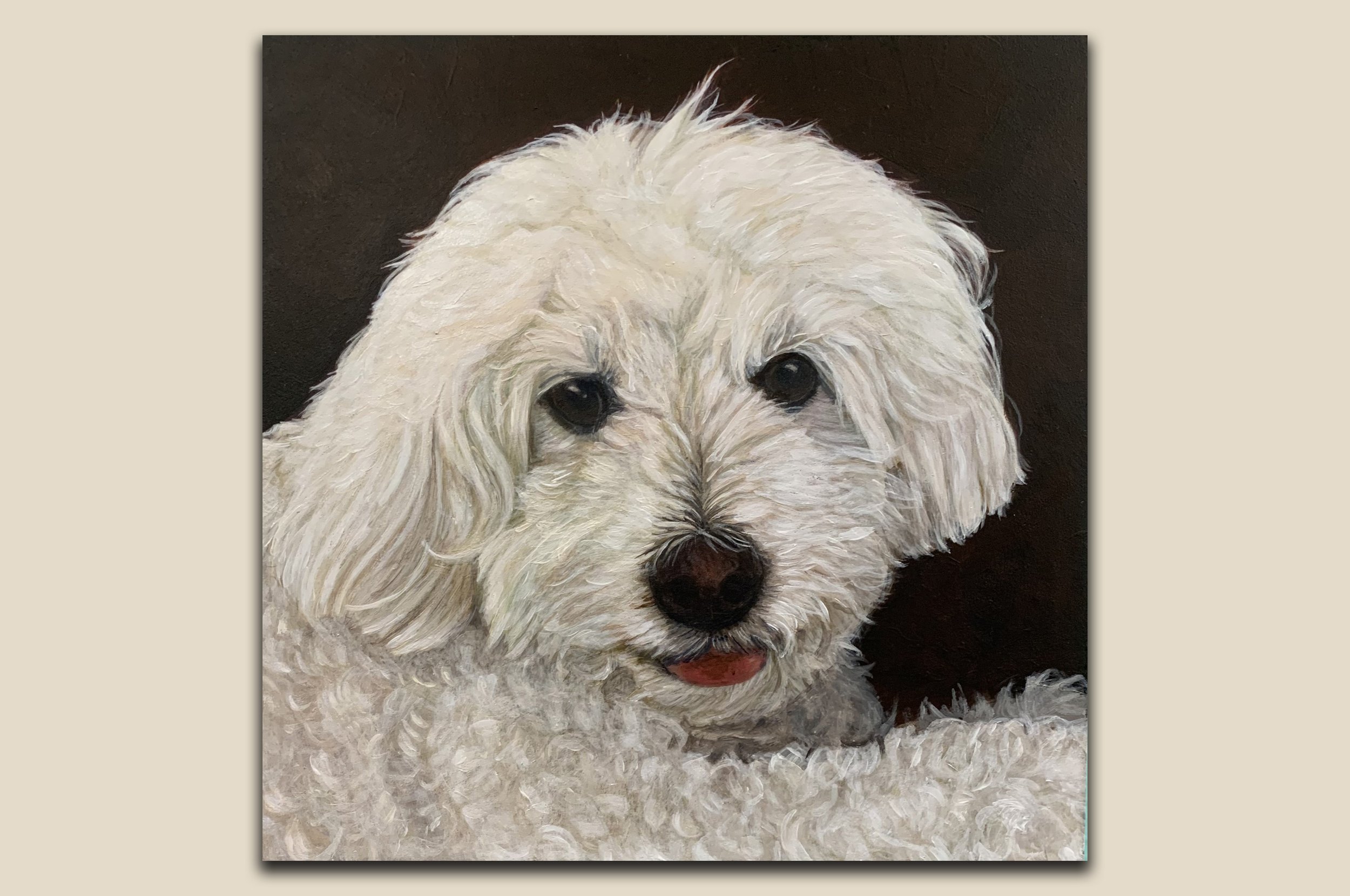 whitedog website.jpg